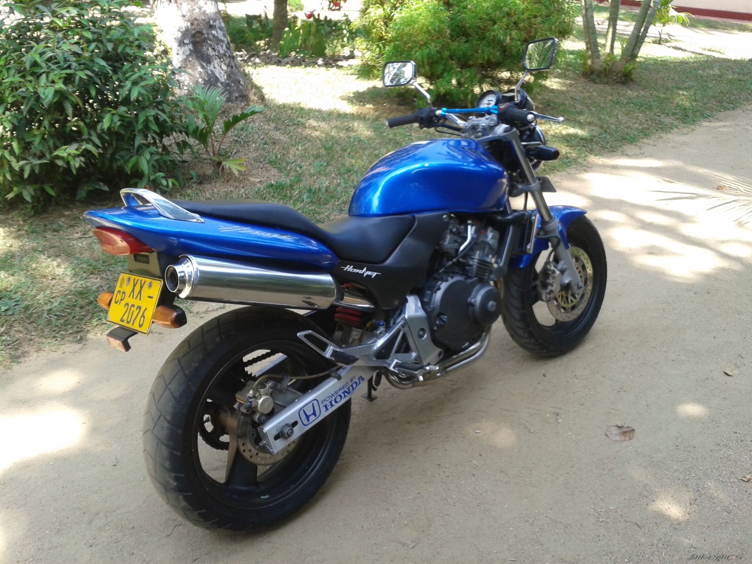 Photo 2753319