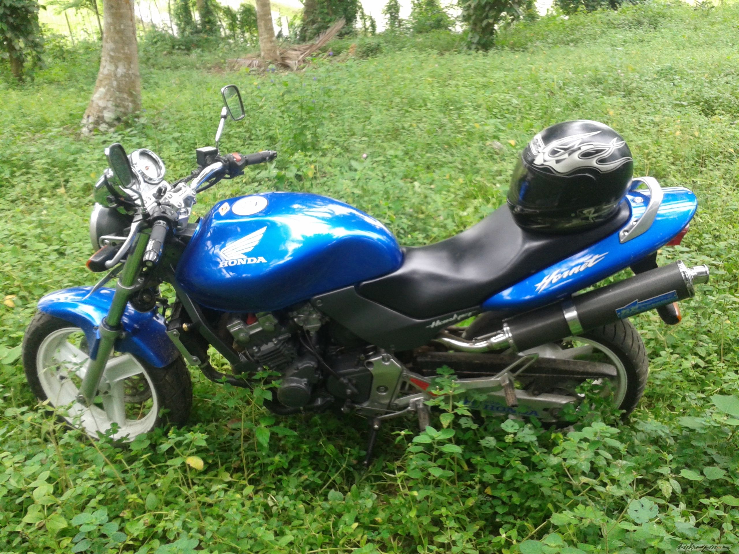 Photo 2753320