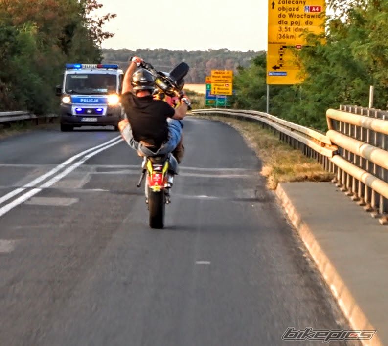 Photo 2753362
