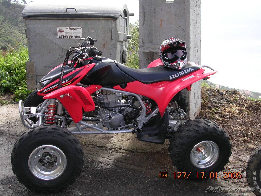 Photo 275339