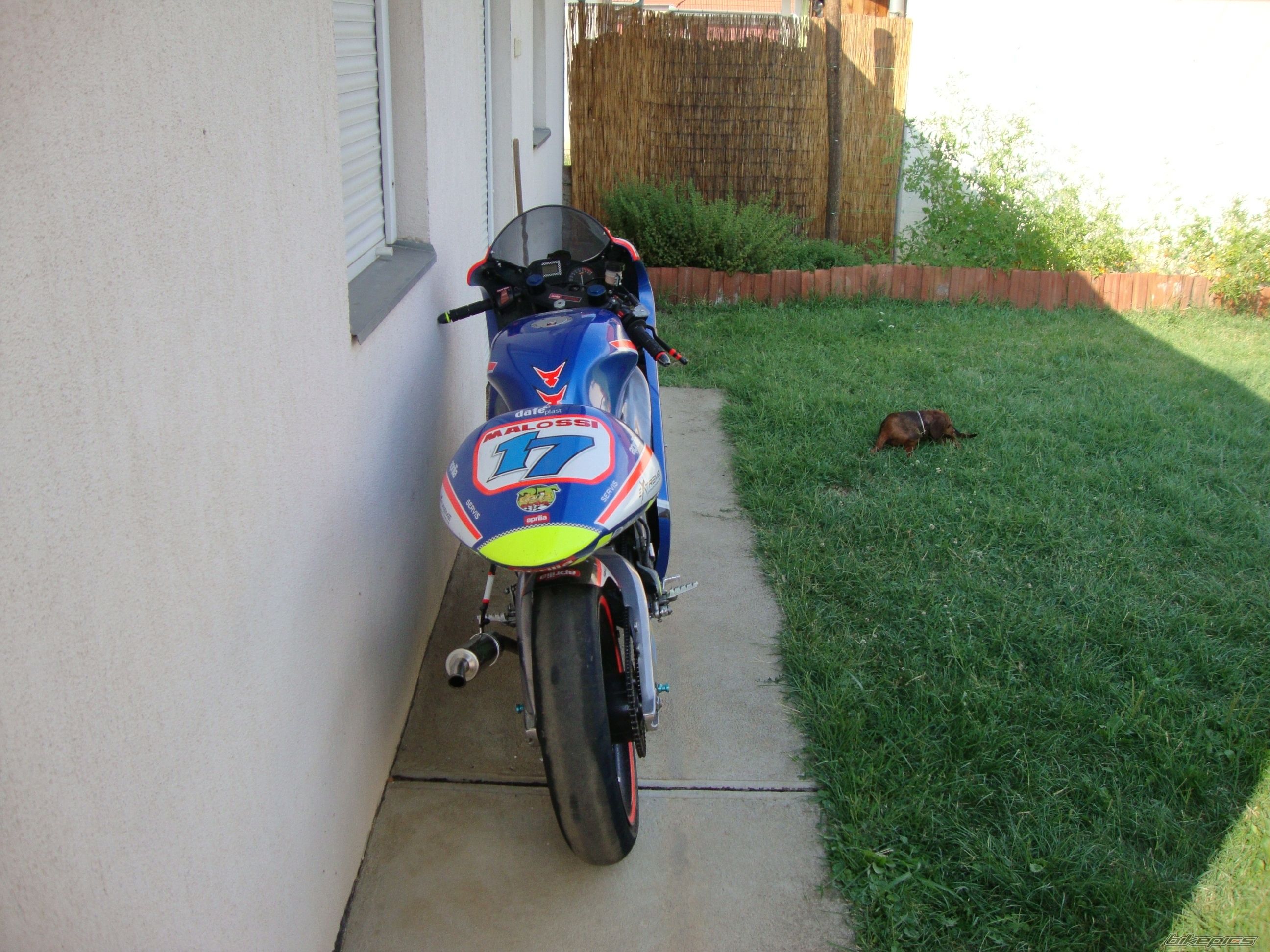 Photo 2753394