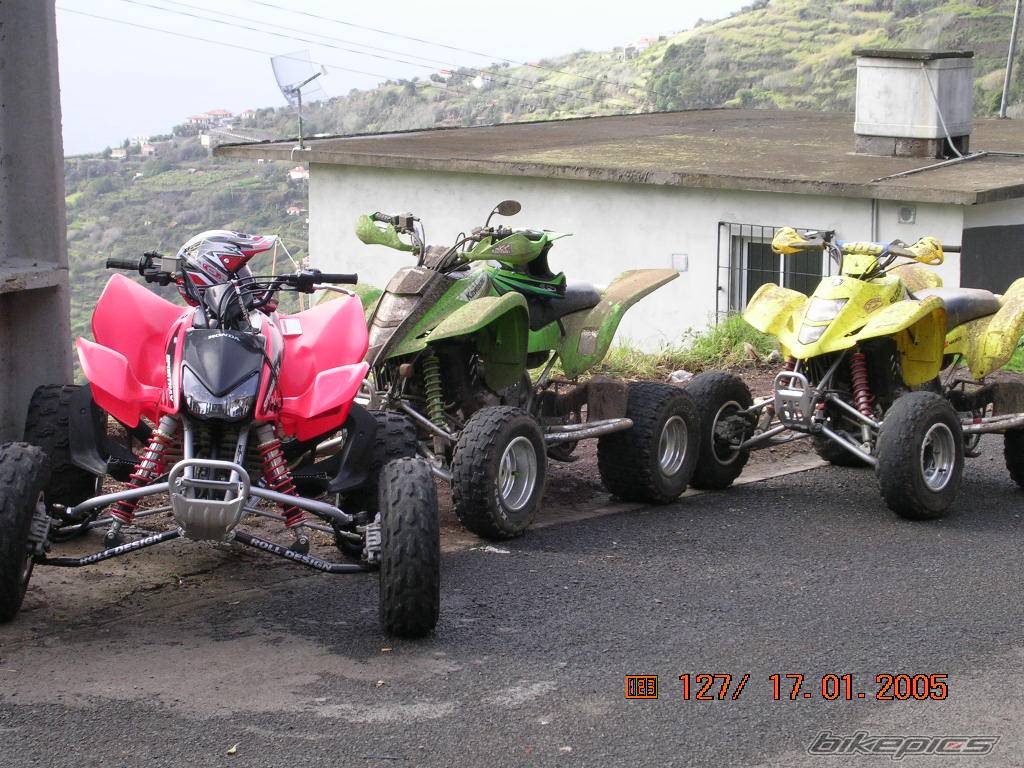 Photo 275347