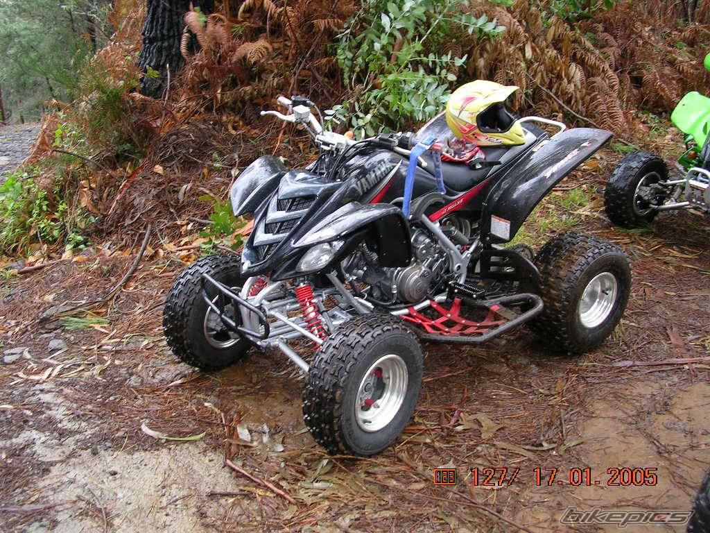 Photo 275353