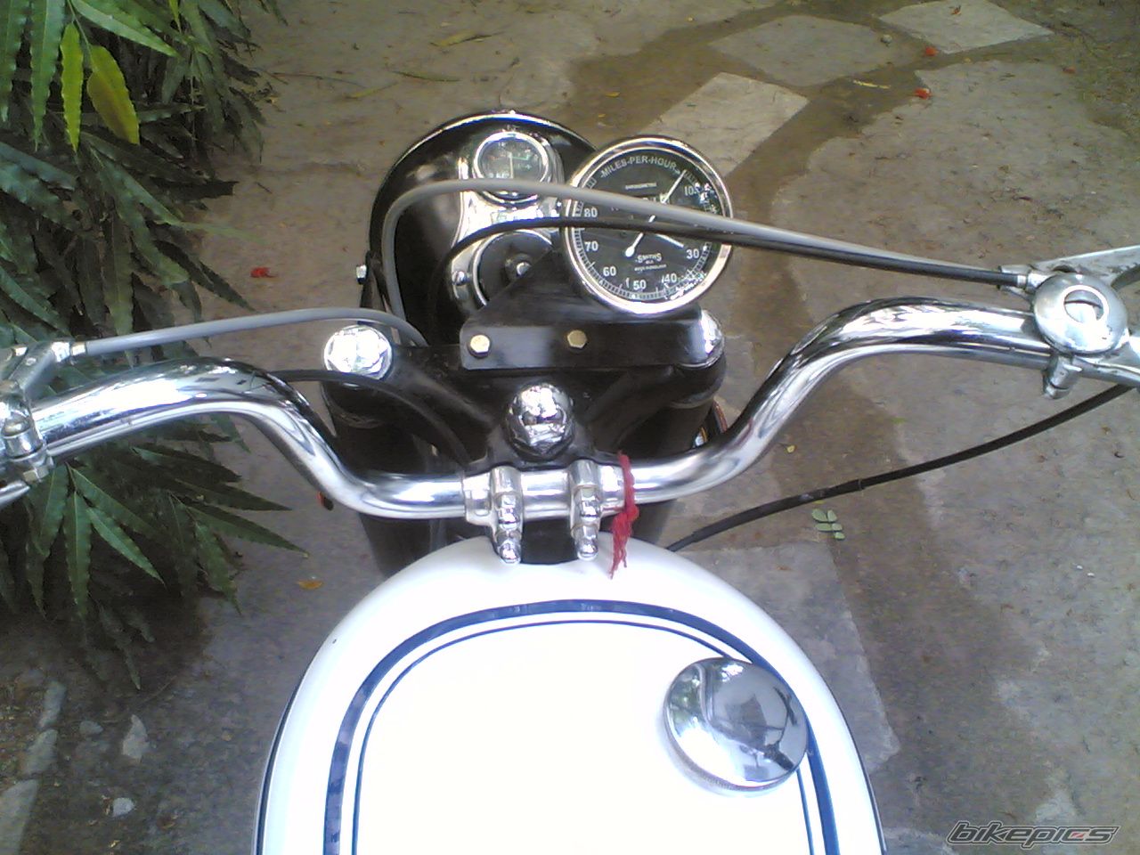 Photo 2753599