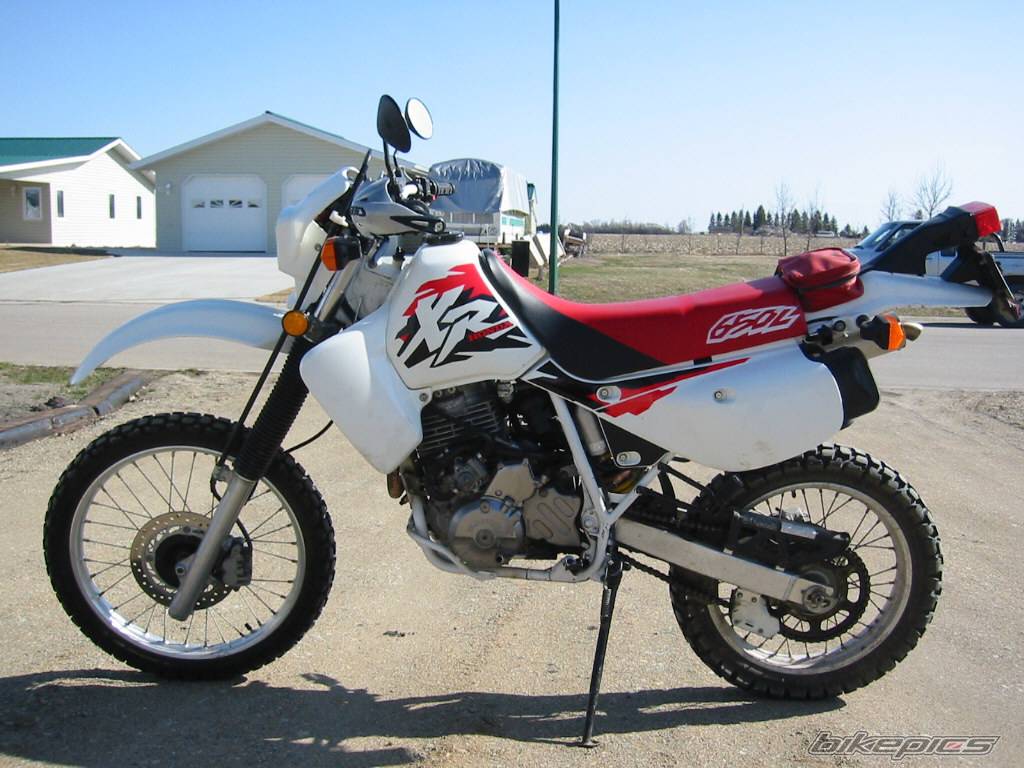 Photo 275360