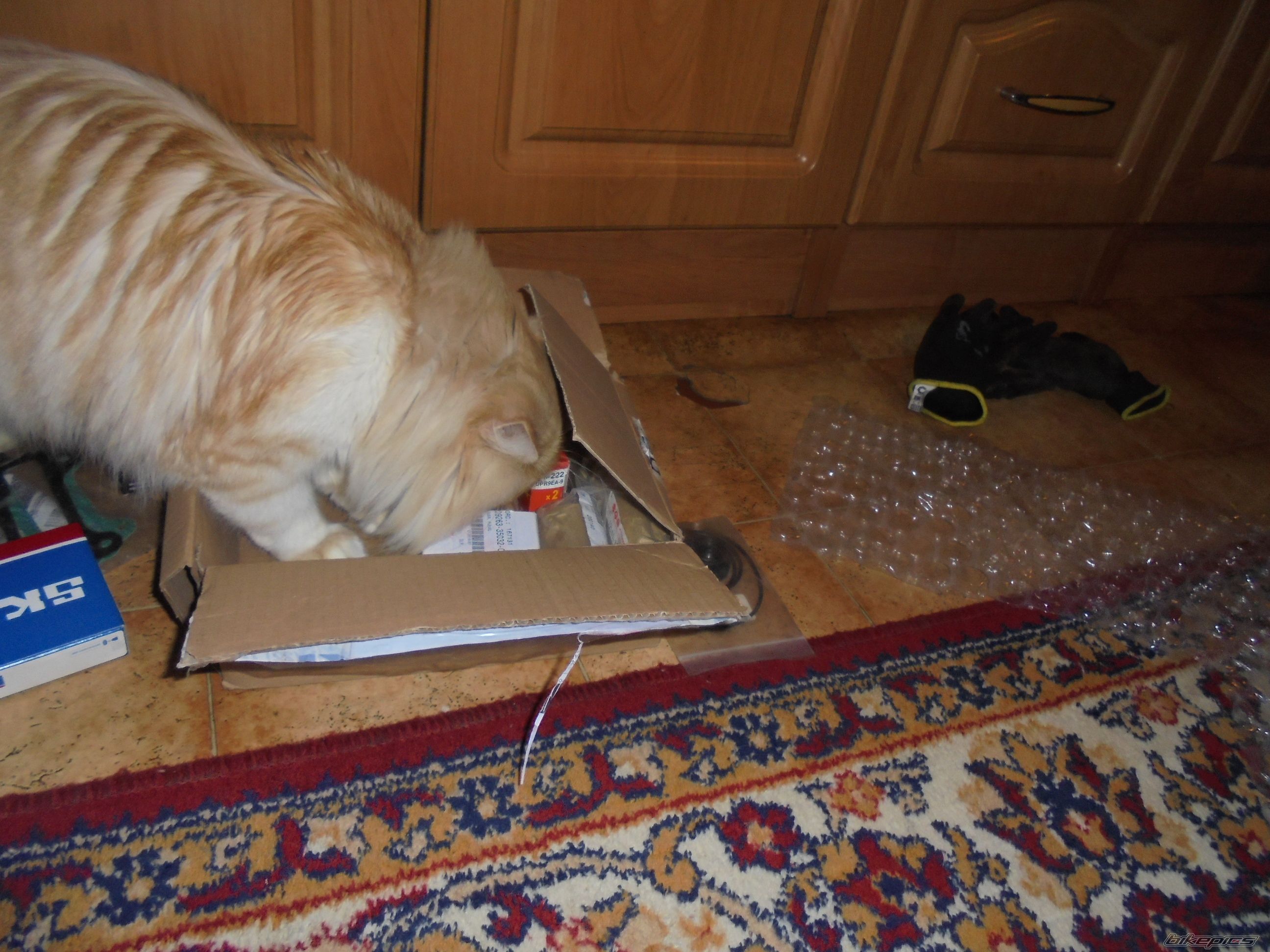 Photo 2753642
