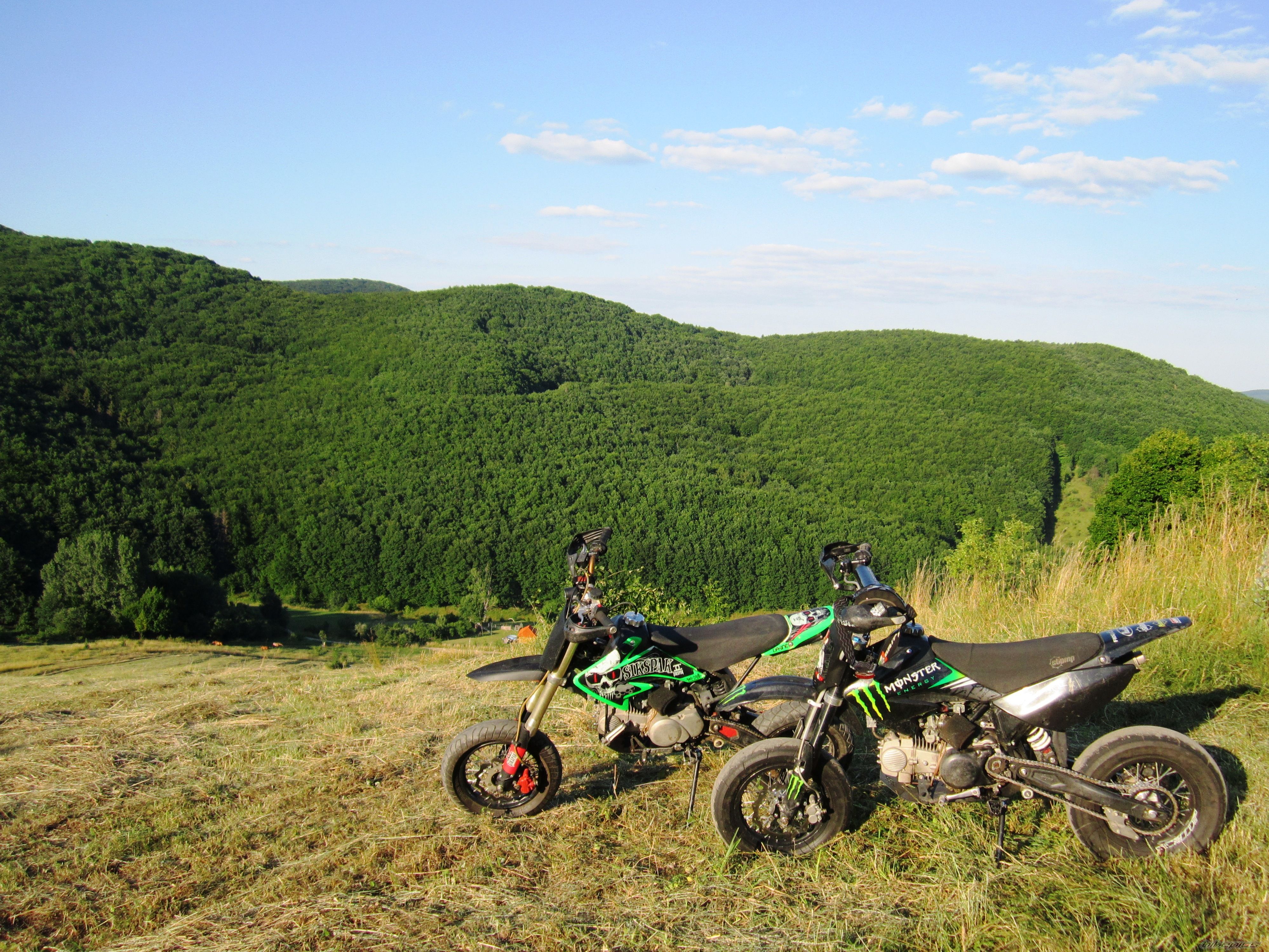 Photo 2753649