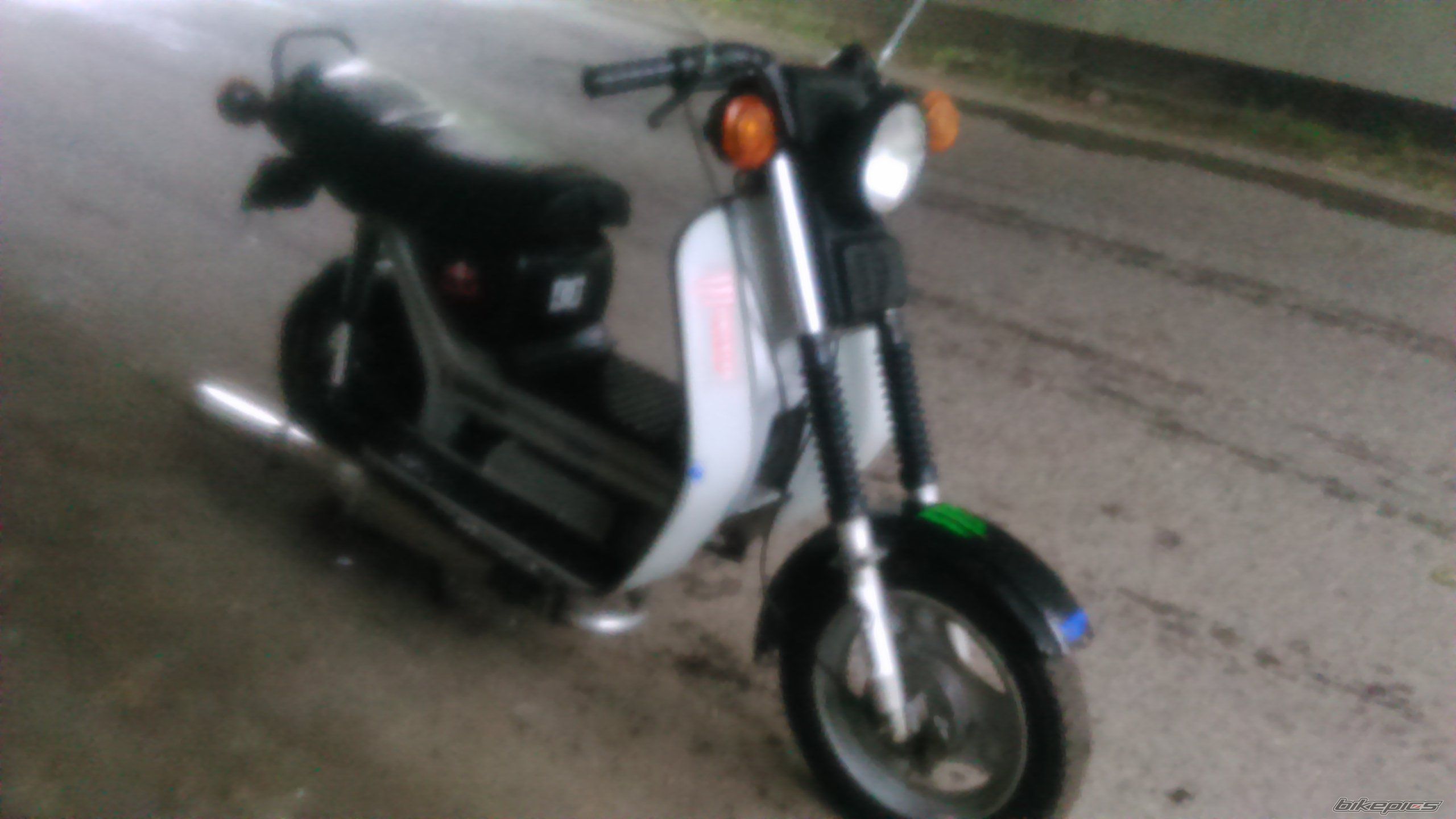 Photo 2753700