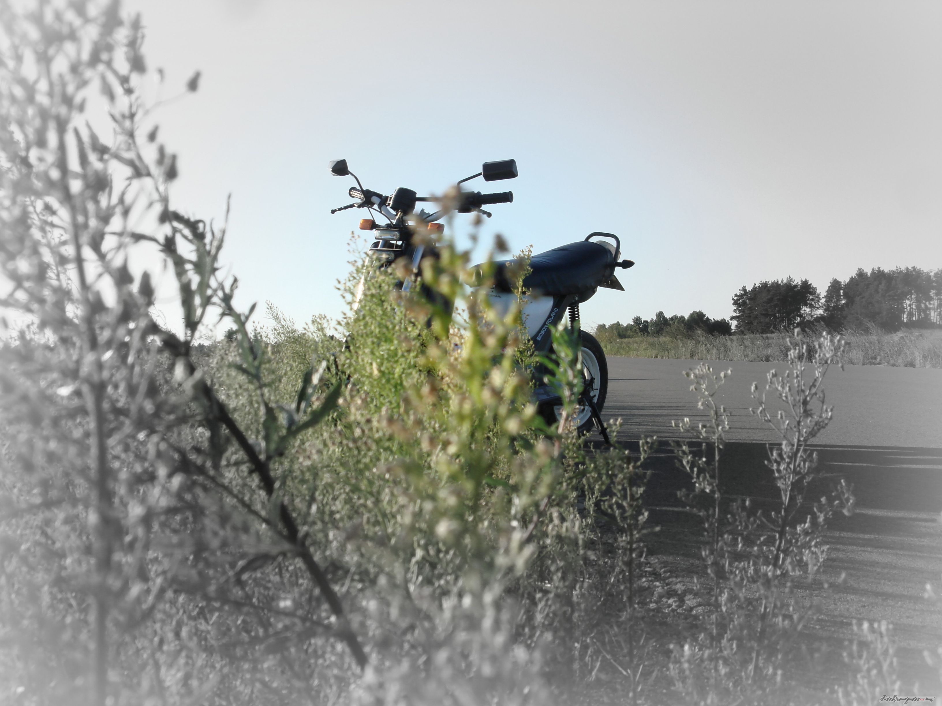 Photo 2753778
