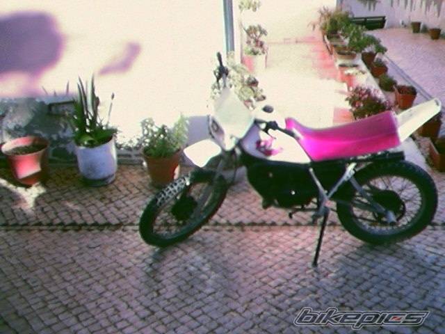 Photo 27538