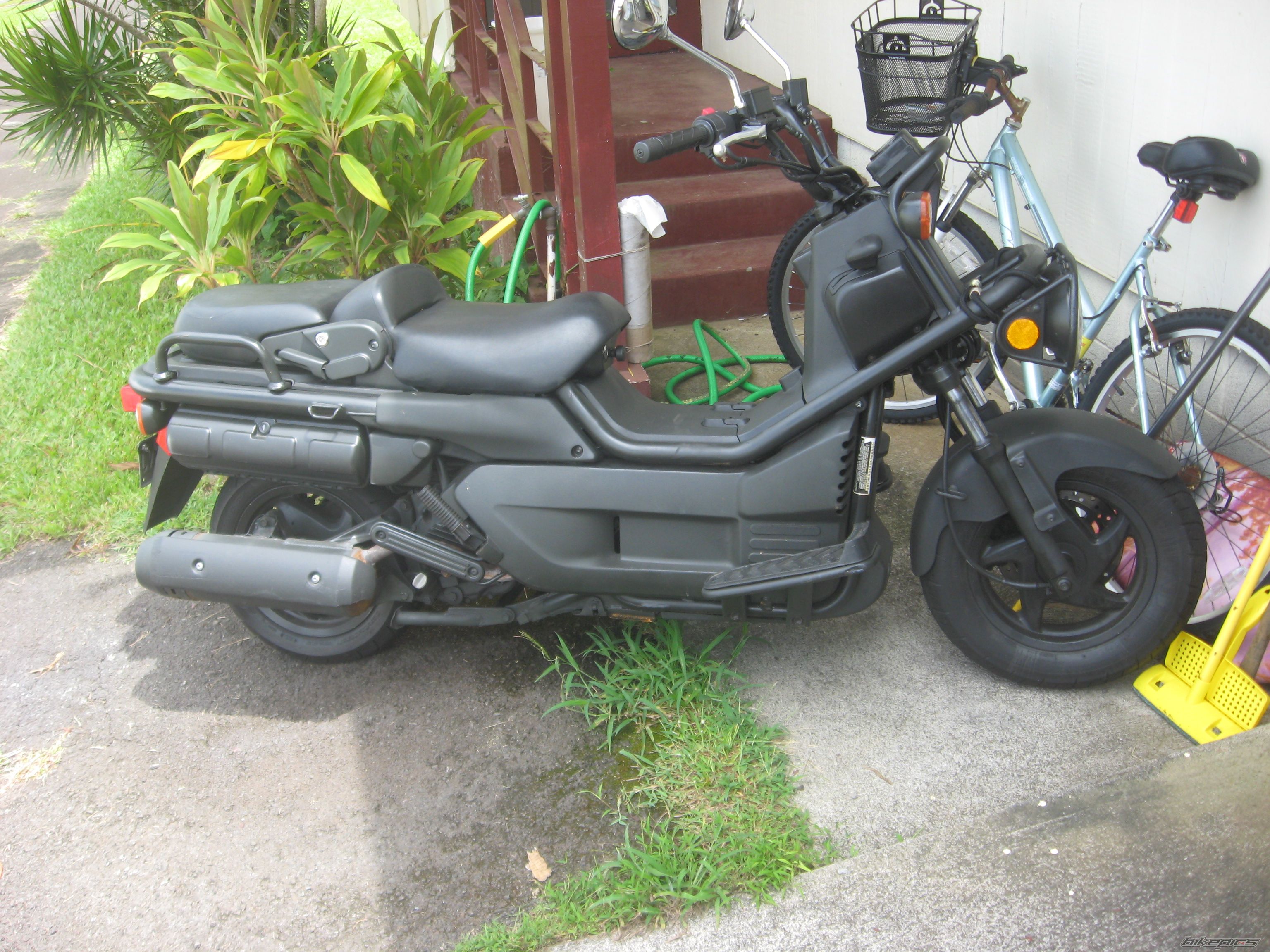 Photo 2753804