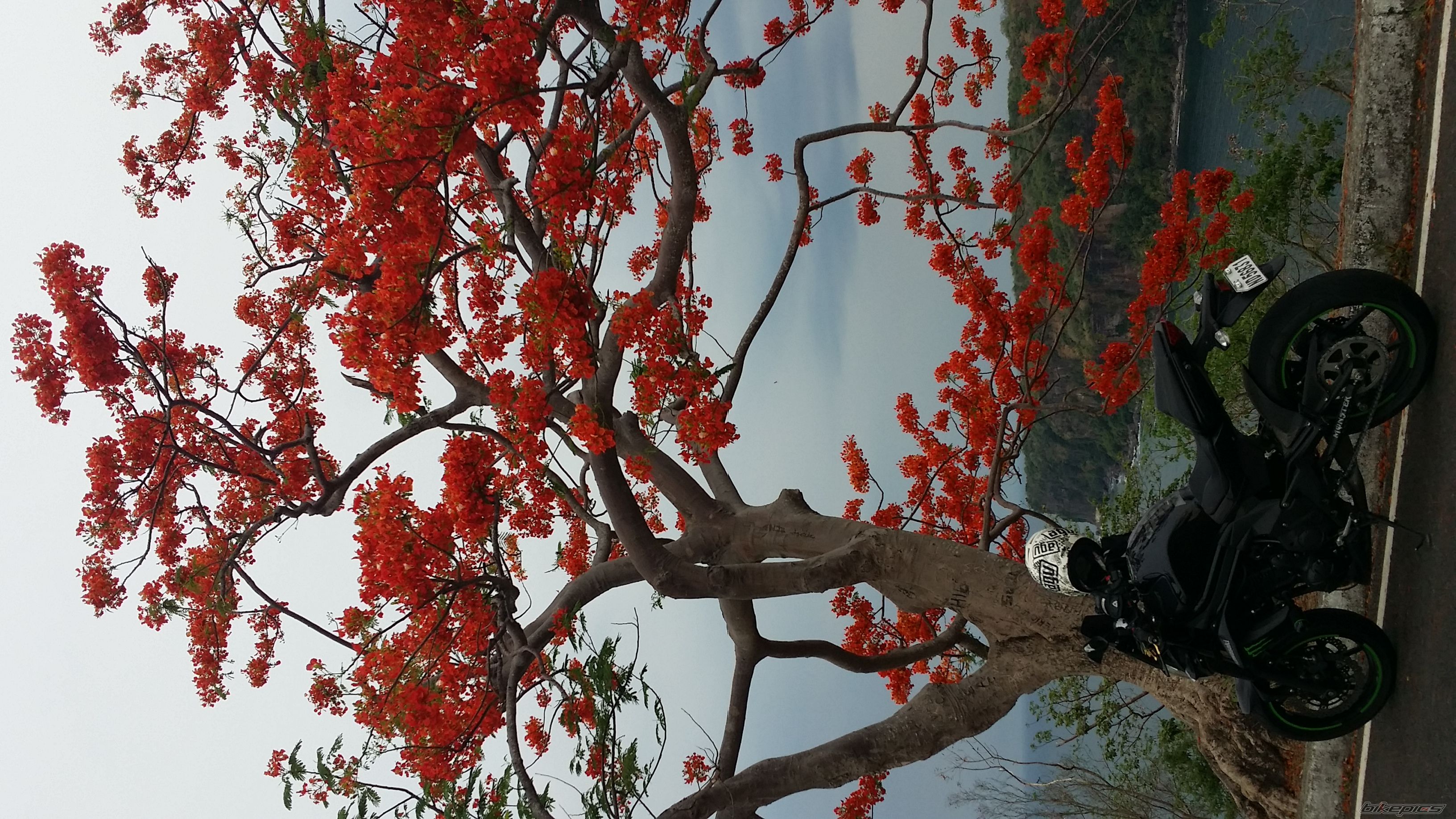 Photo 2753833