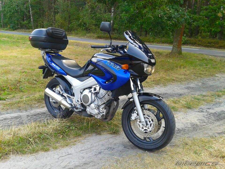 Photo 2753856
