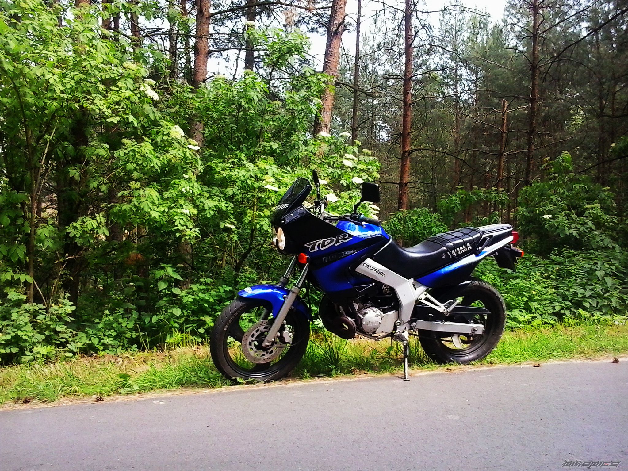 Photo 2753867