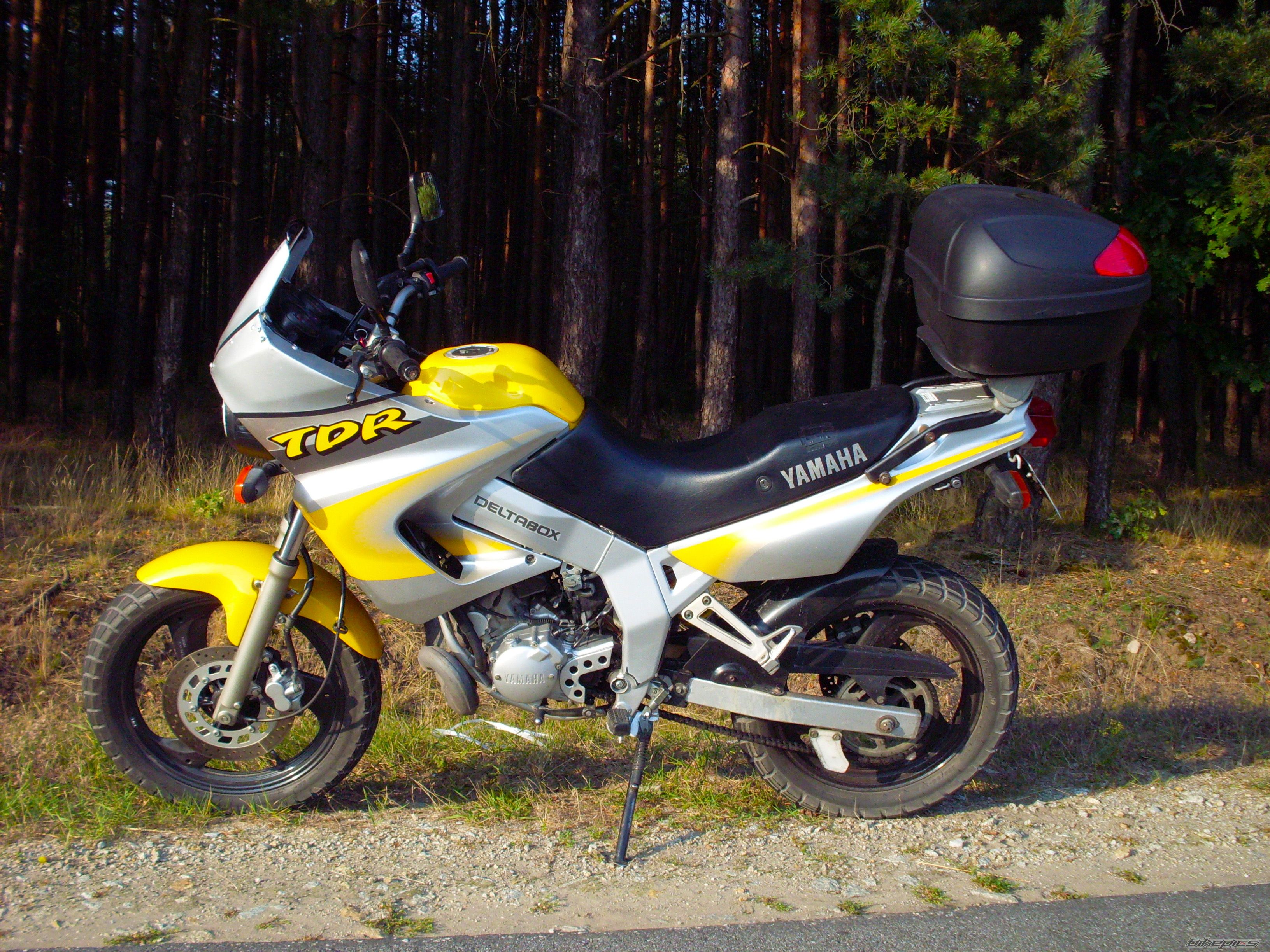 Photo 2753874
