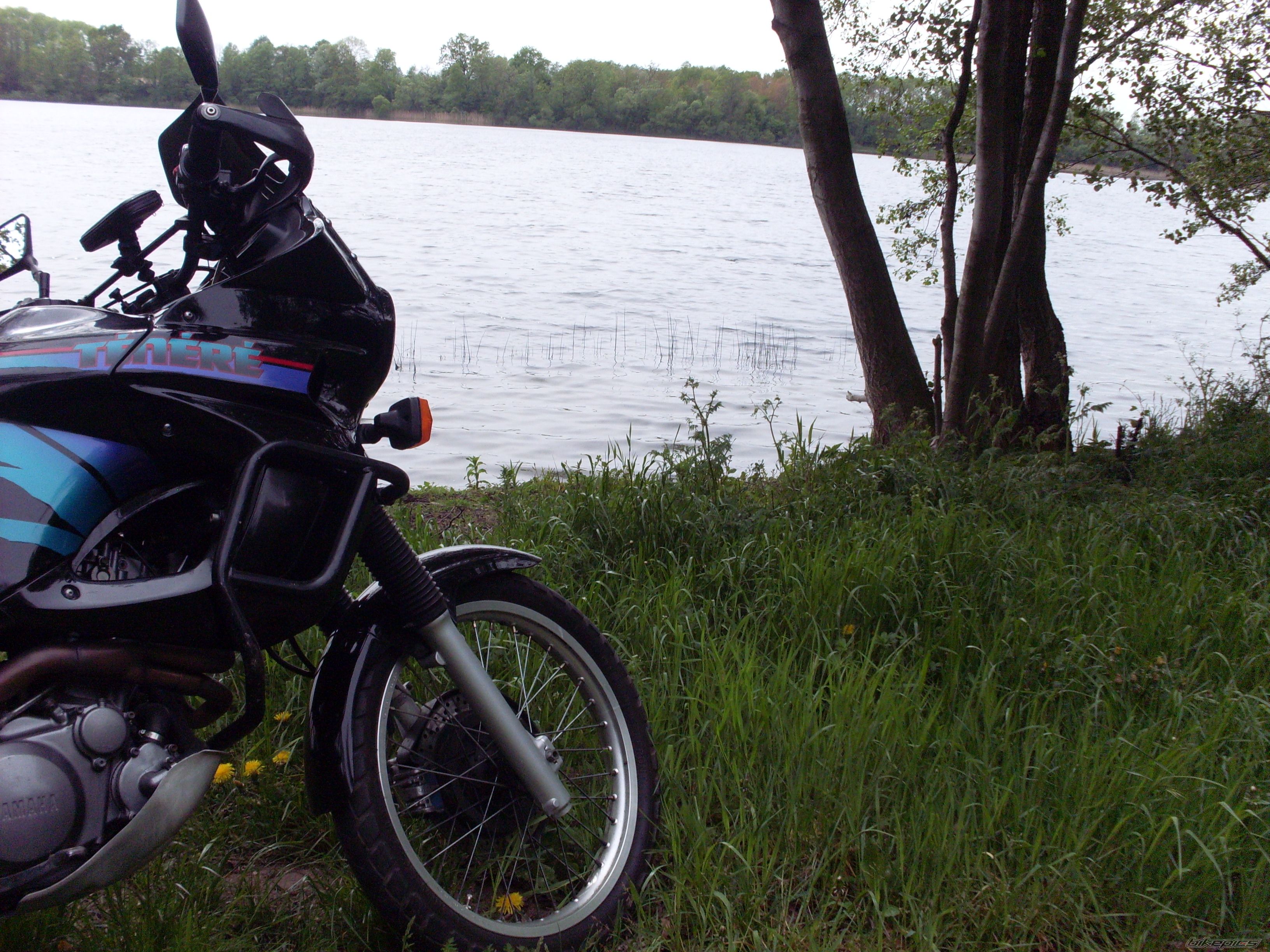 Photo 2753885