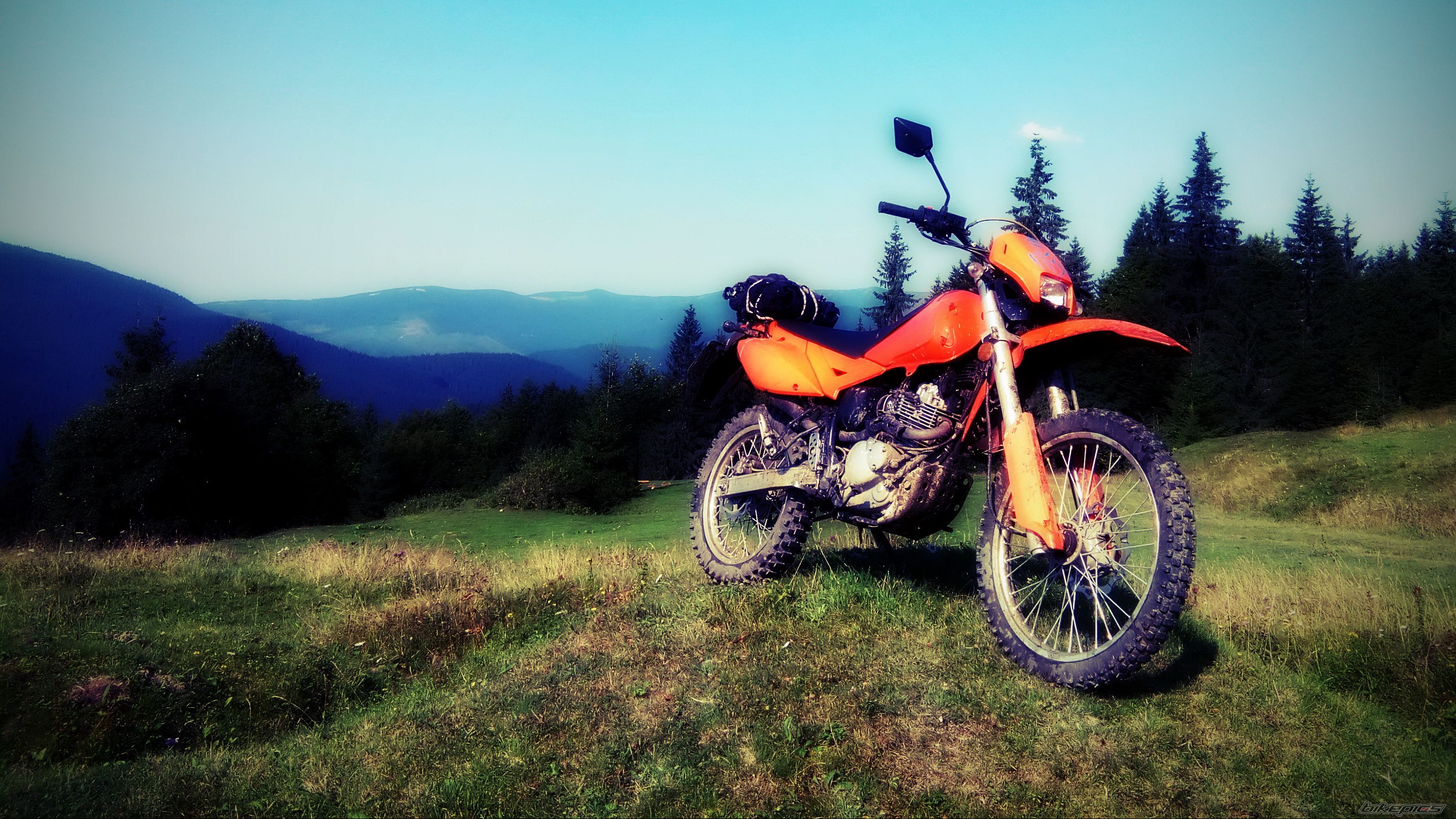 Photo 2754090