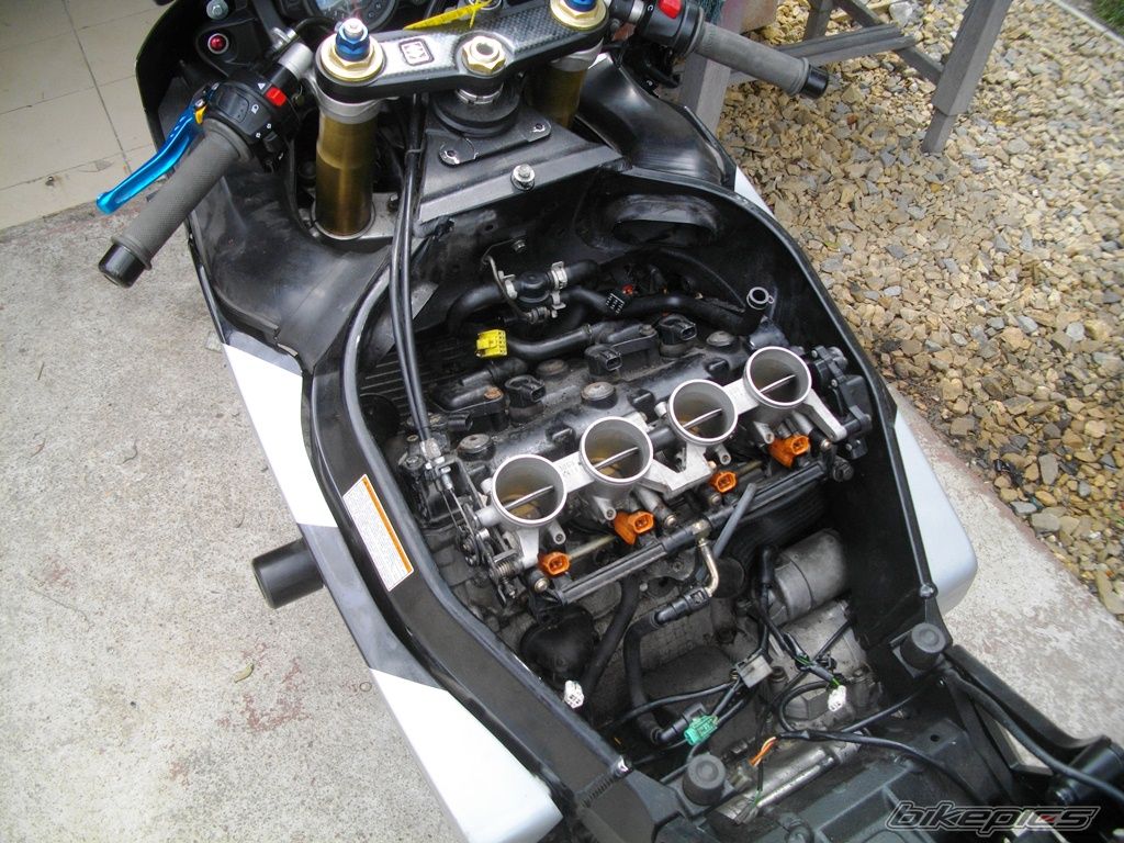 Photo 2754250
