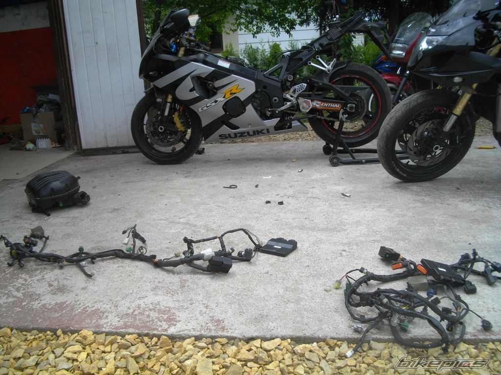 Photo 2754252