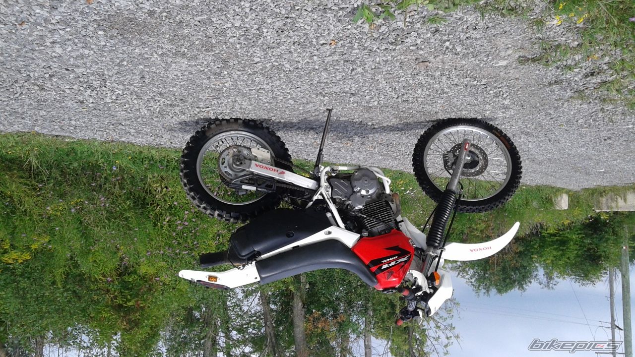 Photo 2754502