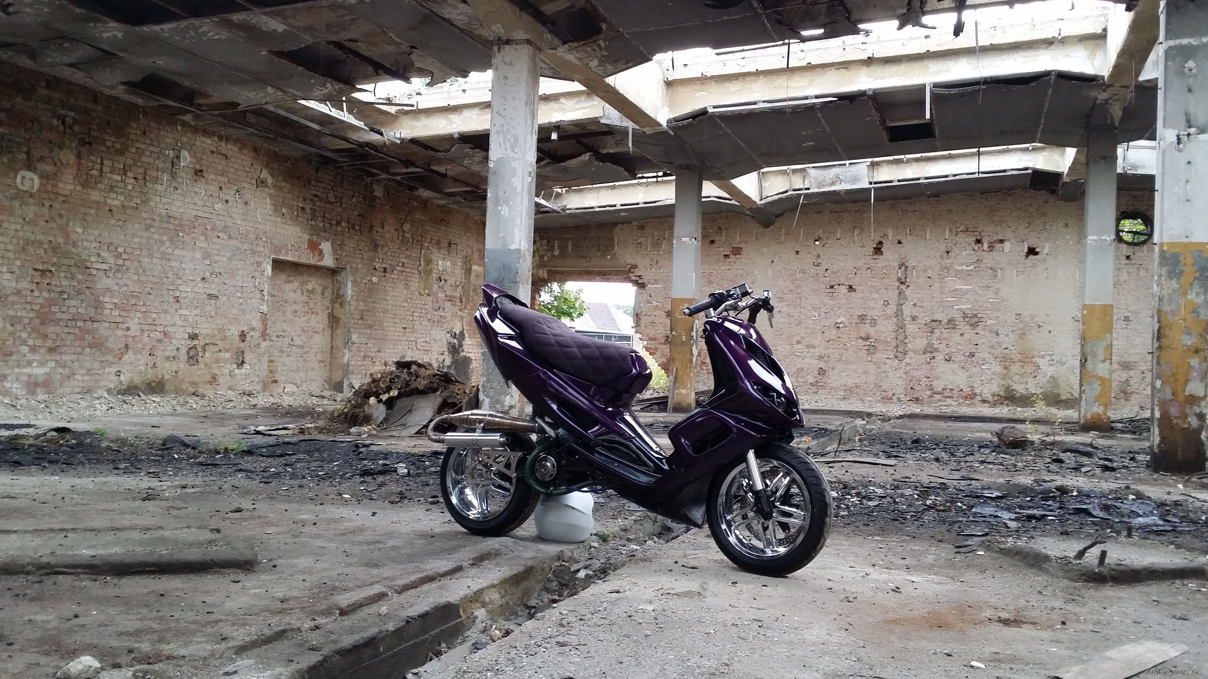 Photo 2754543