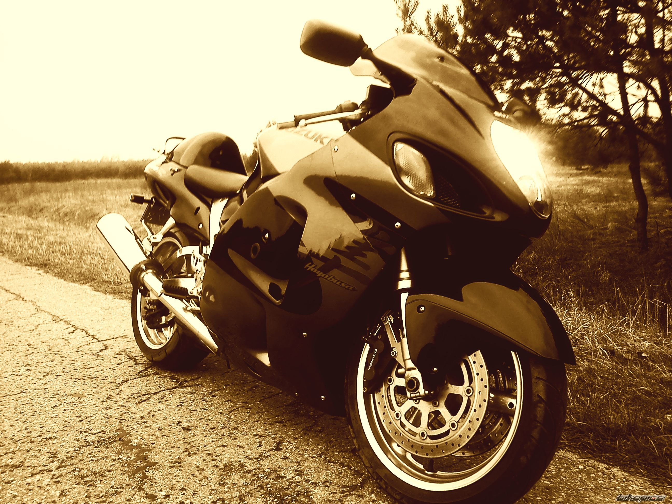 Photo 2754549
