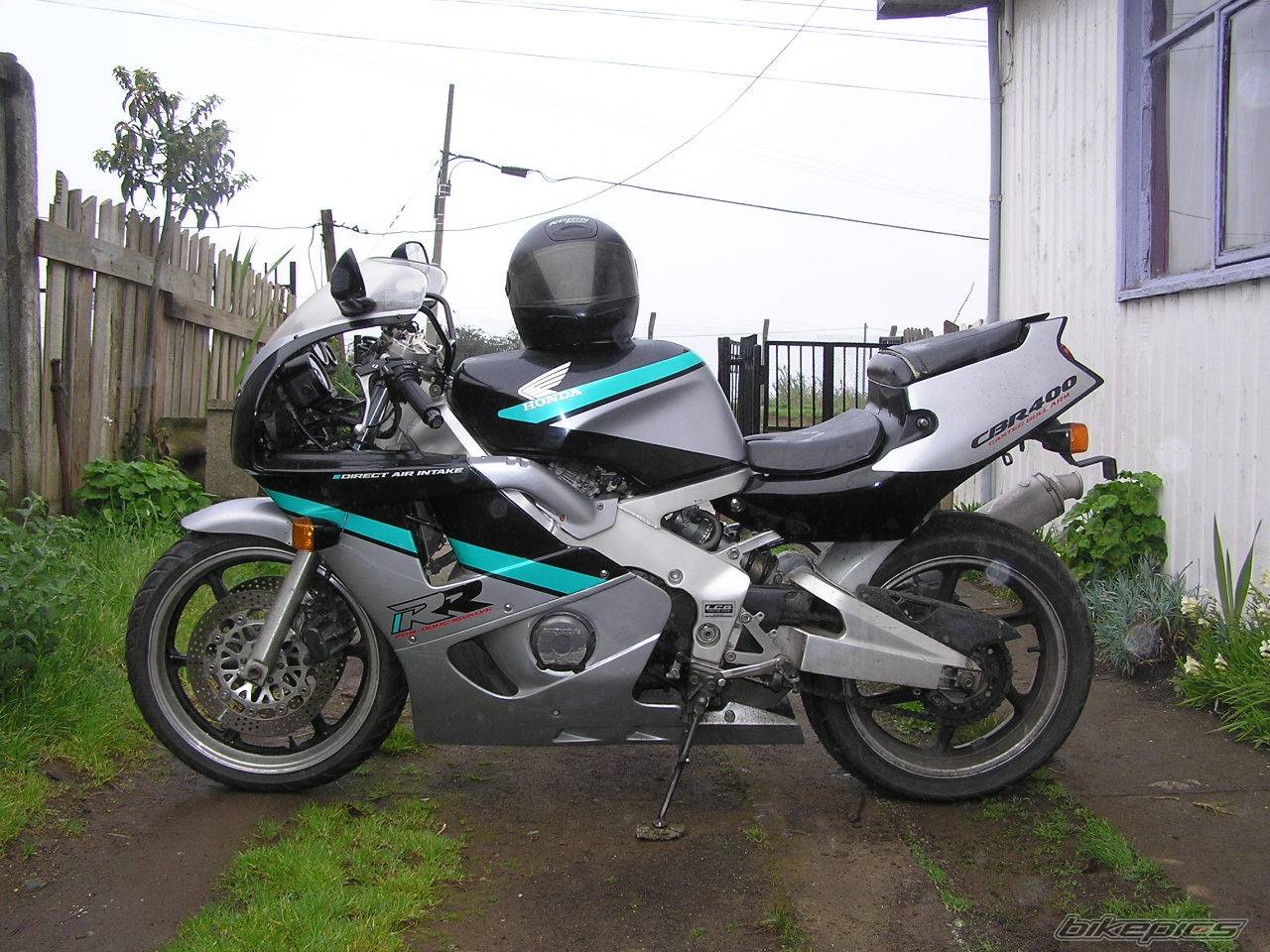 Photo 275455