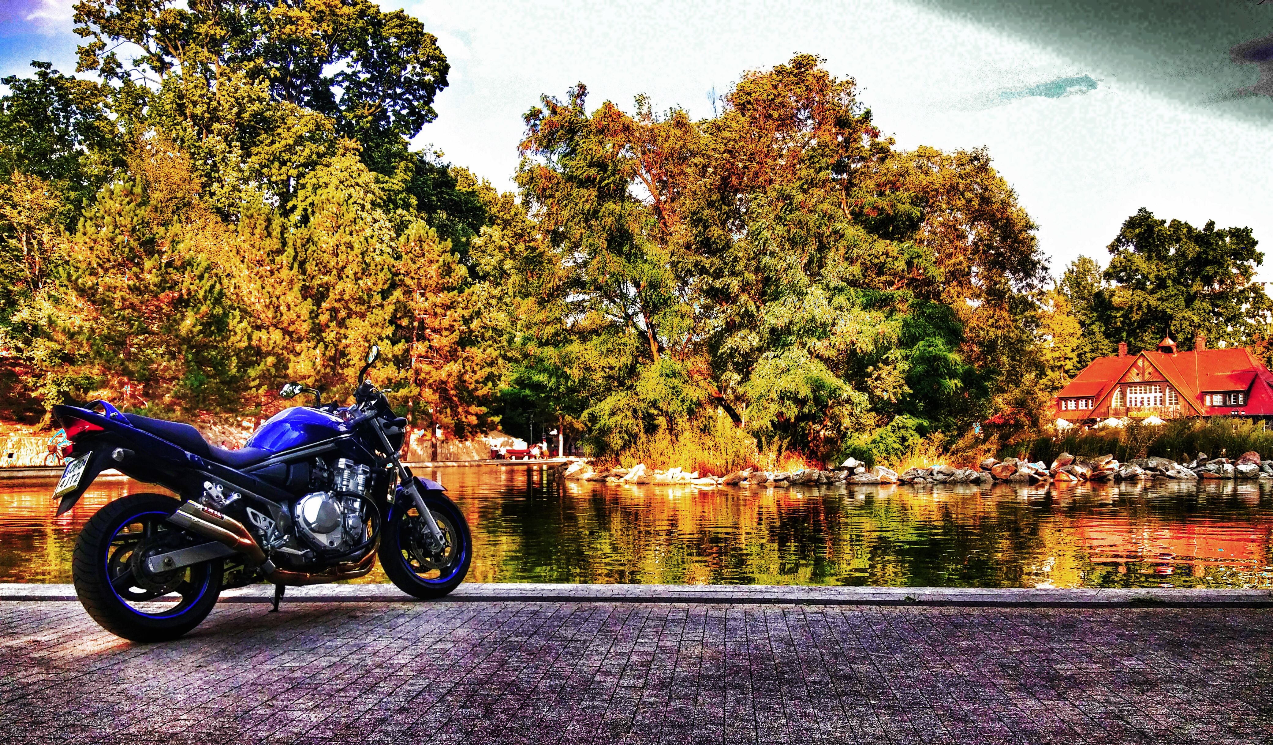 Photo 2754632