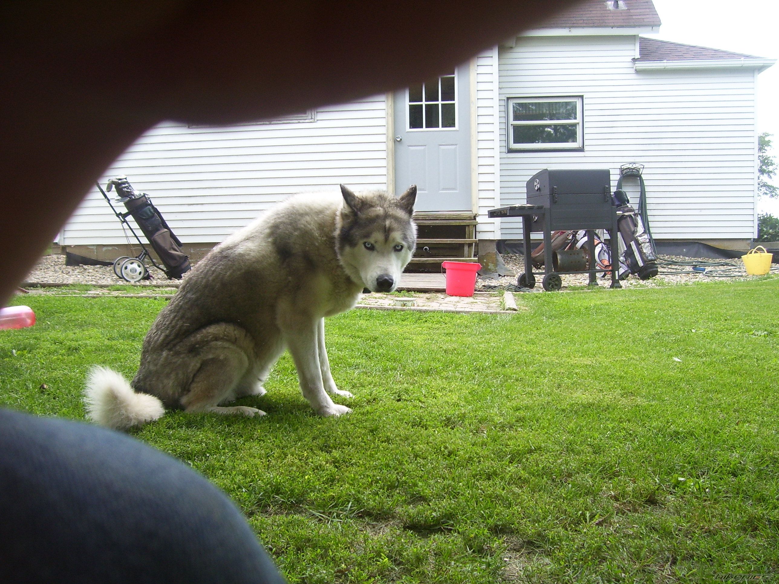 Photo 2754650