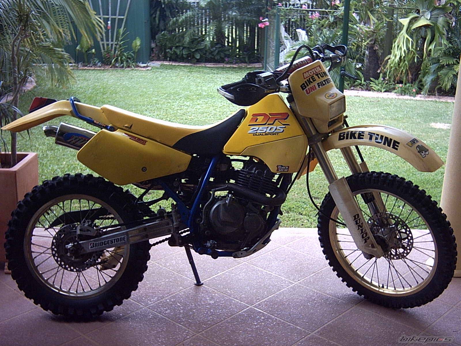 Photo 275495