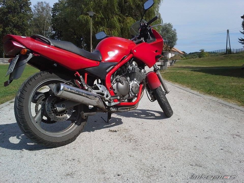 Photo 2755070