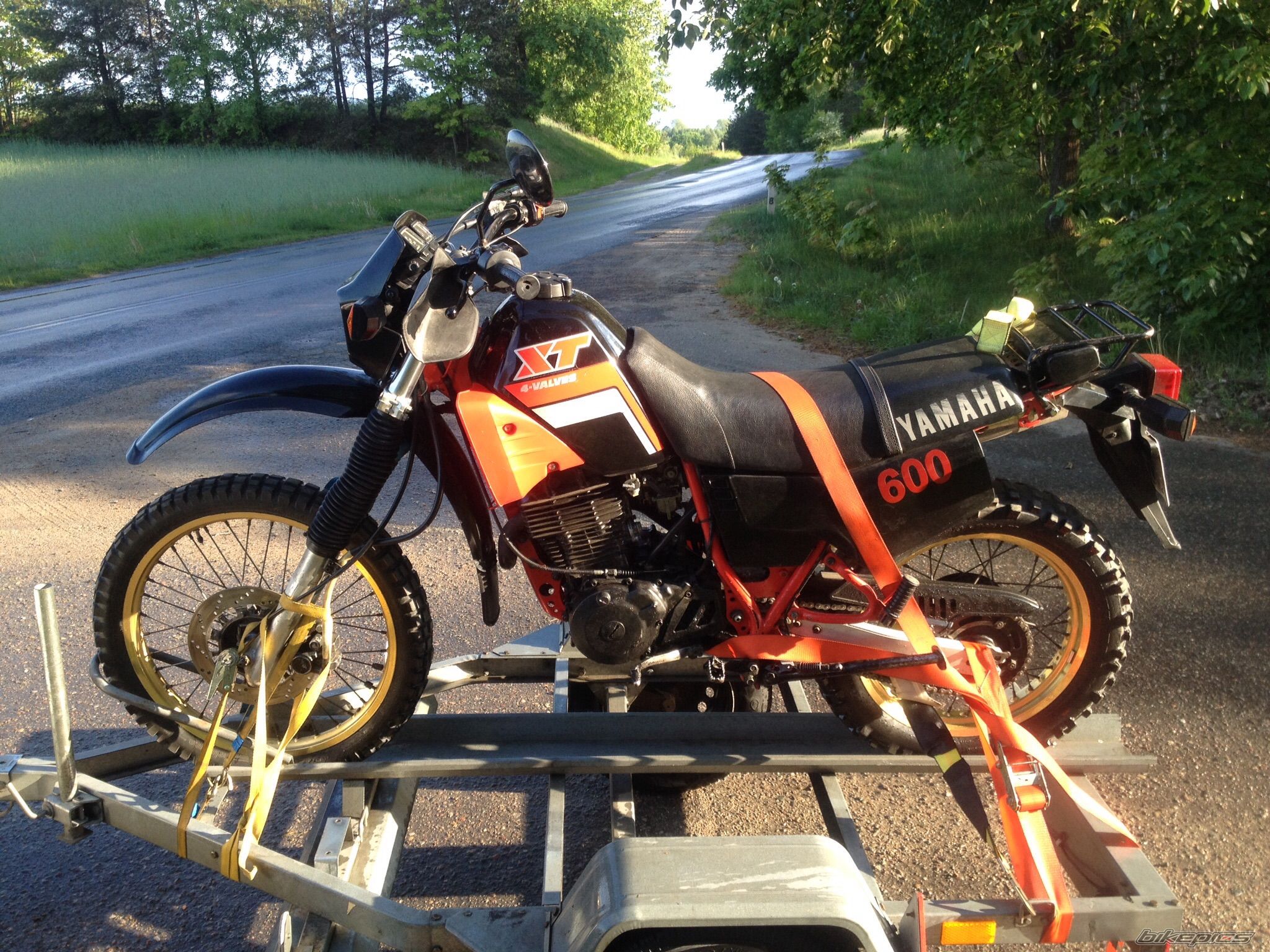 Photo 2755093