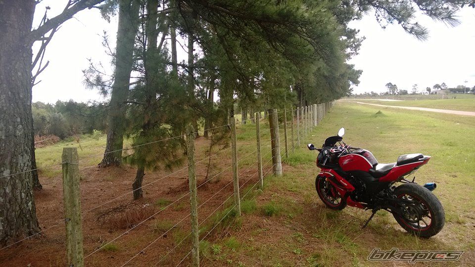 Photo 2755163