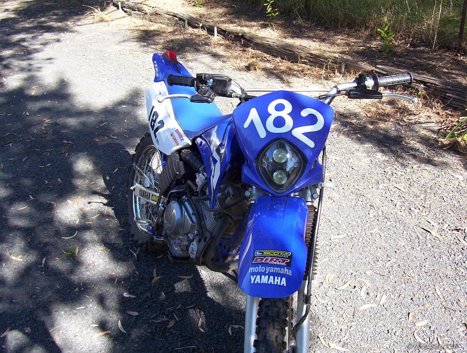 Photo 275522