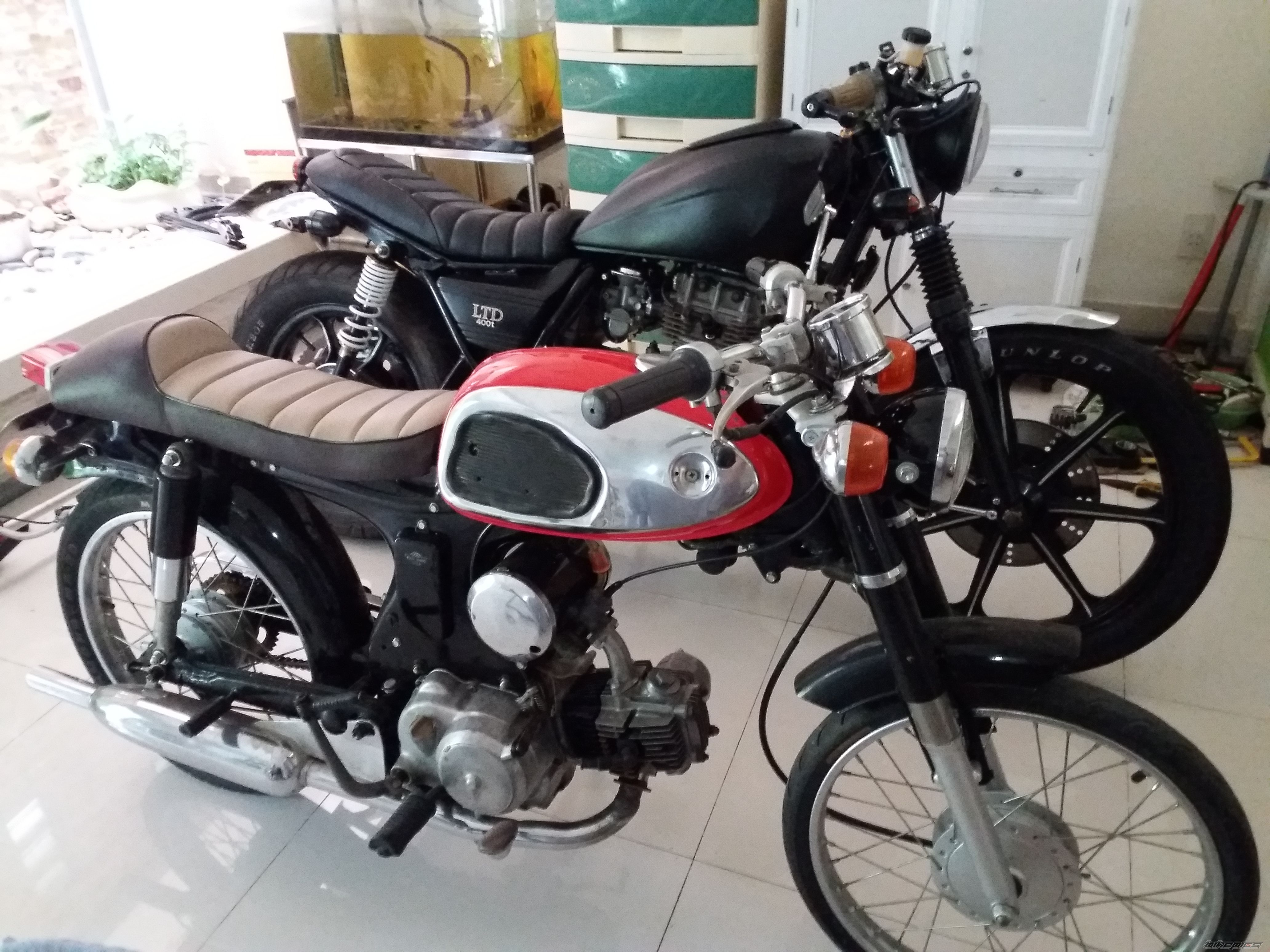 Photo 2755249