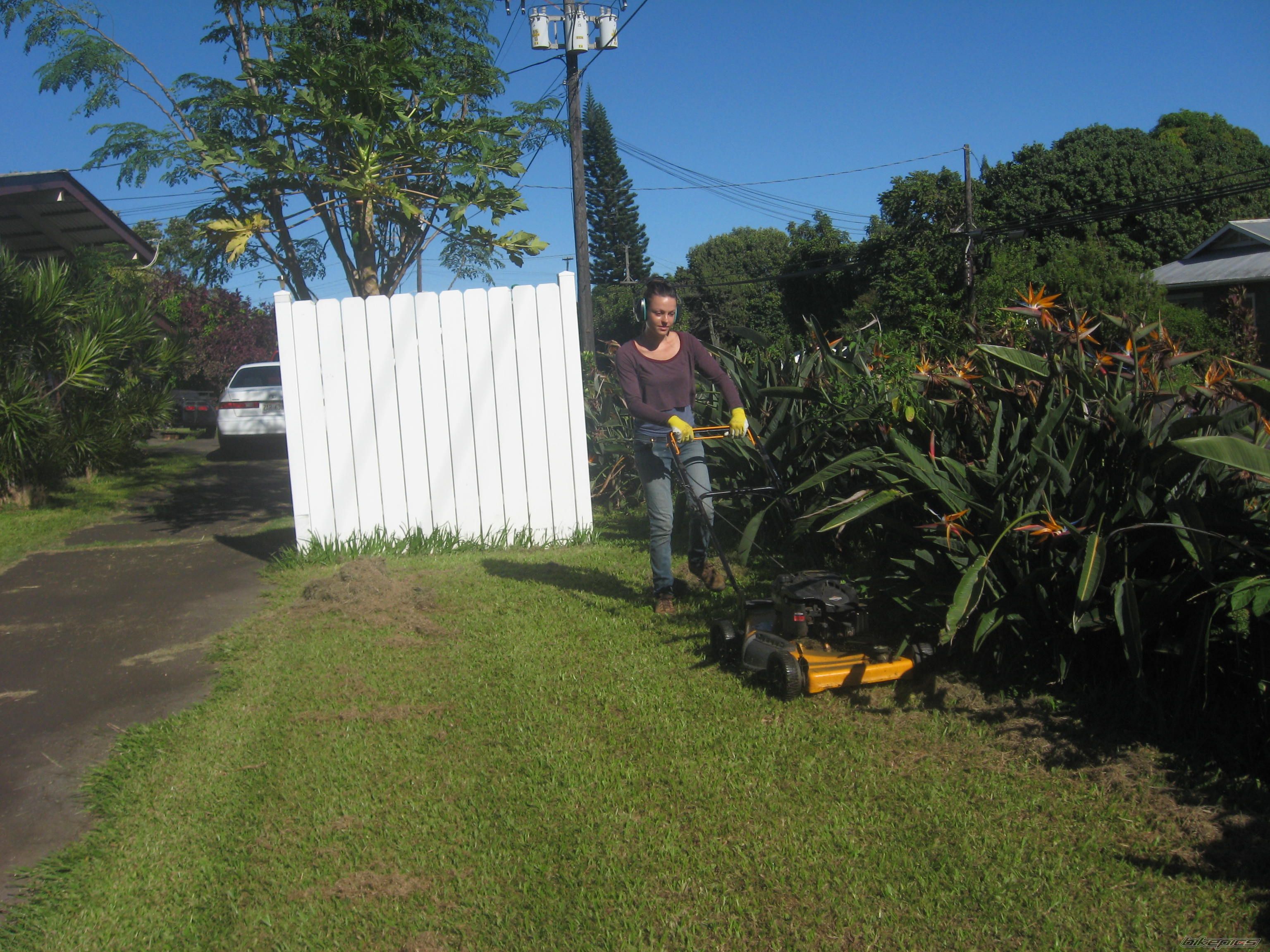 Photo 2755320