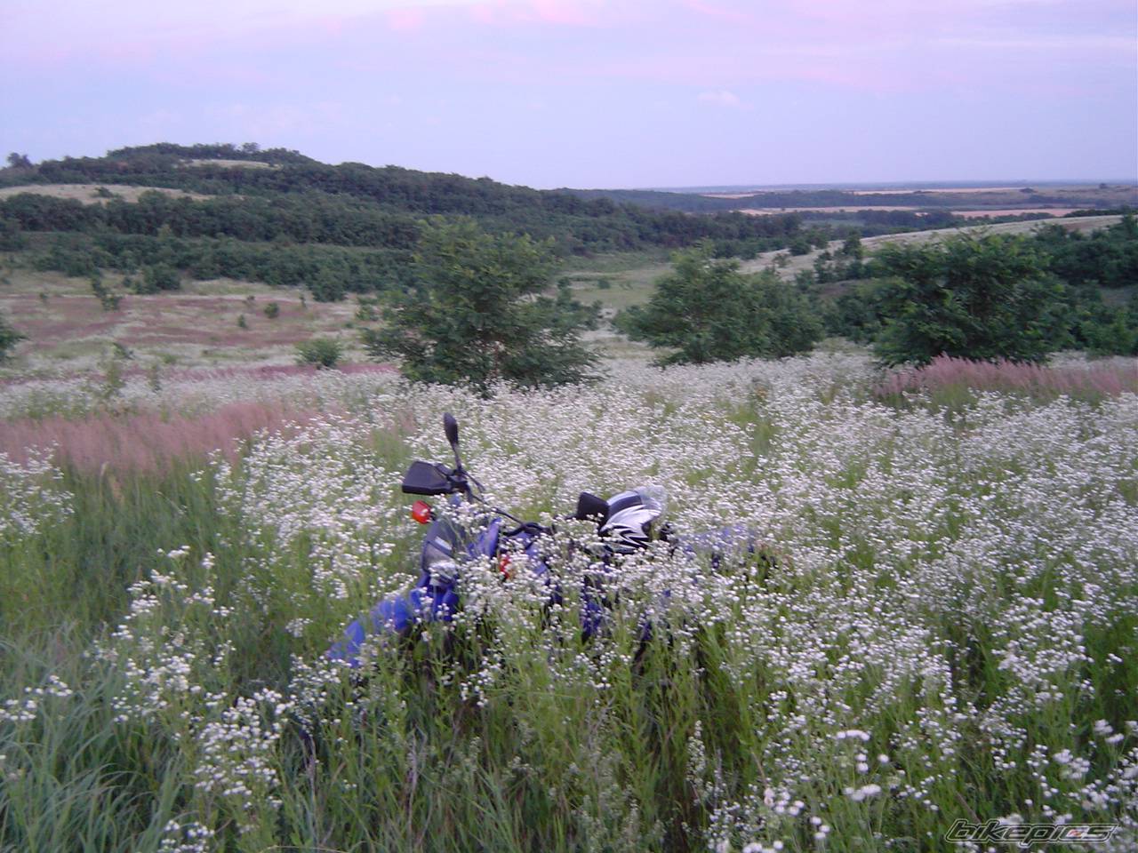 Photo 275537