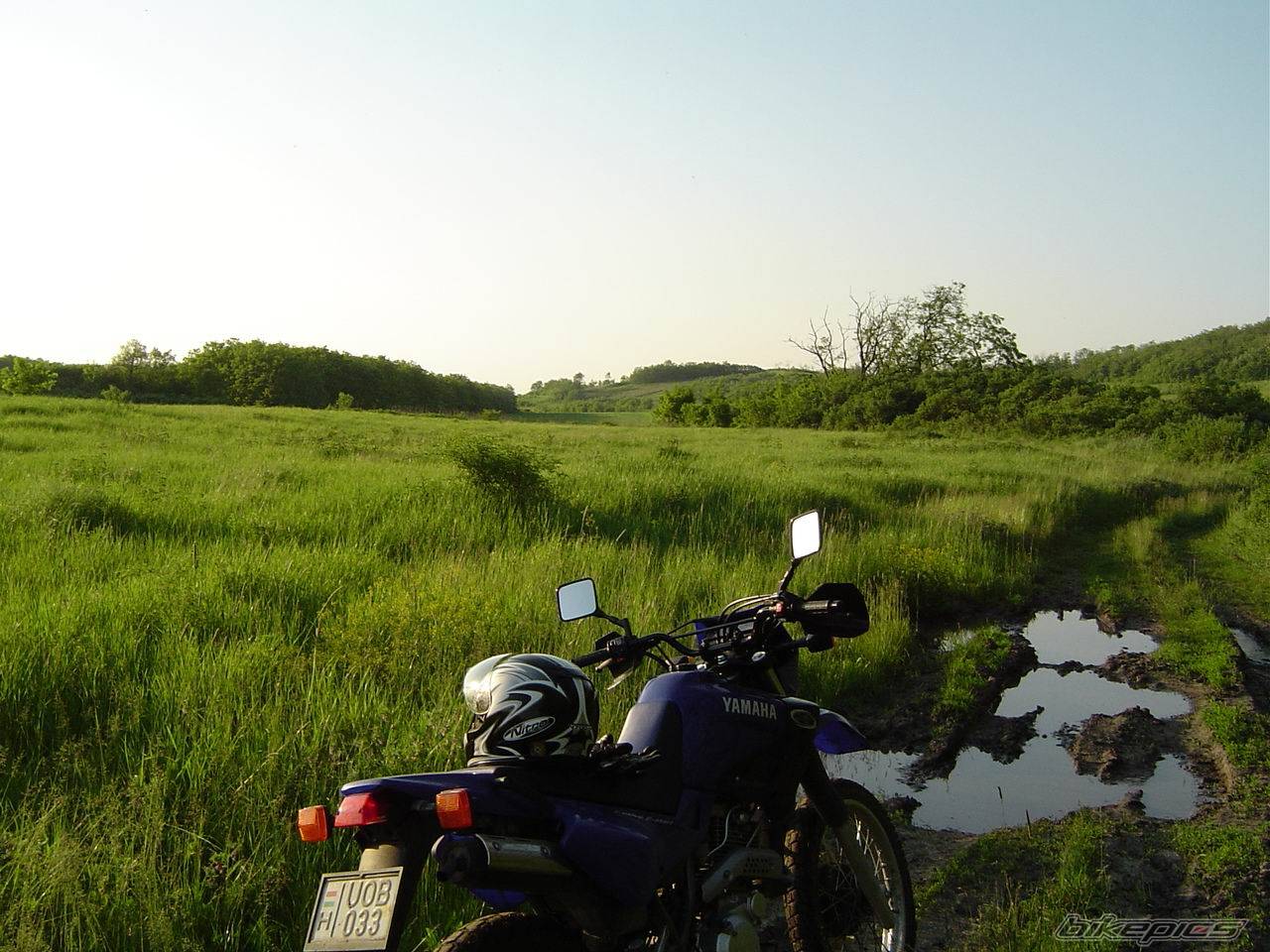 Photo 275543
