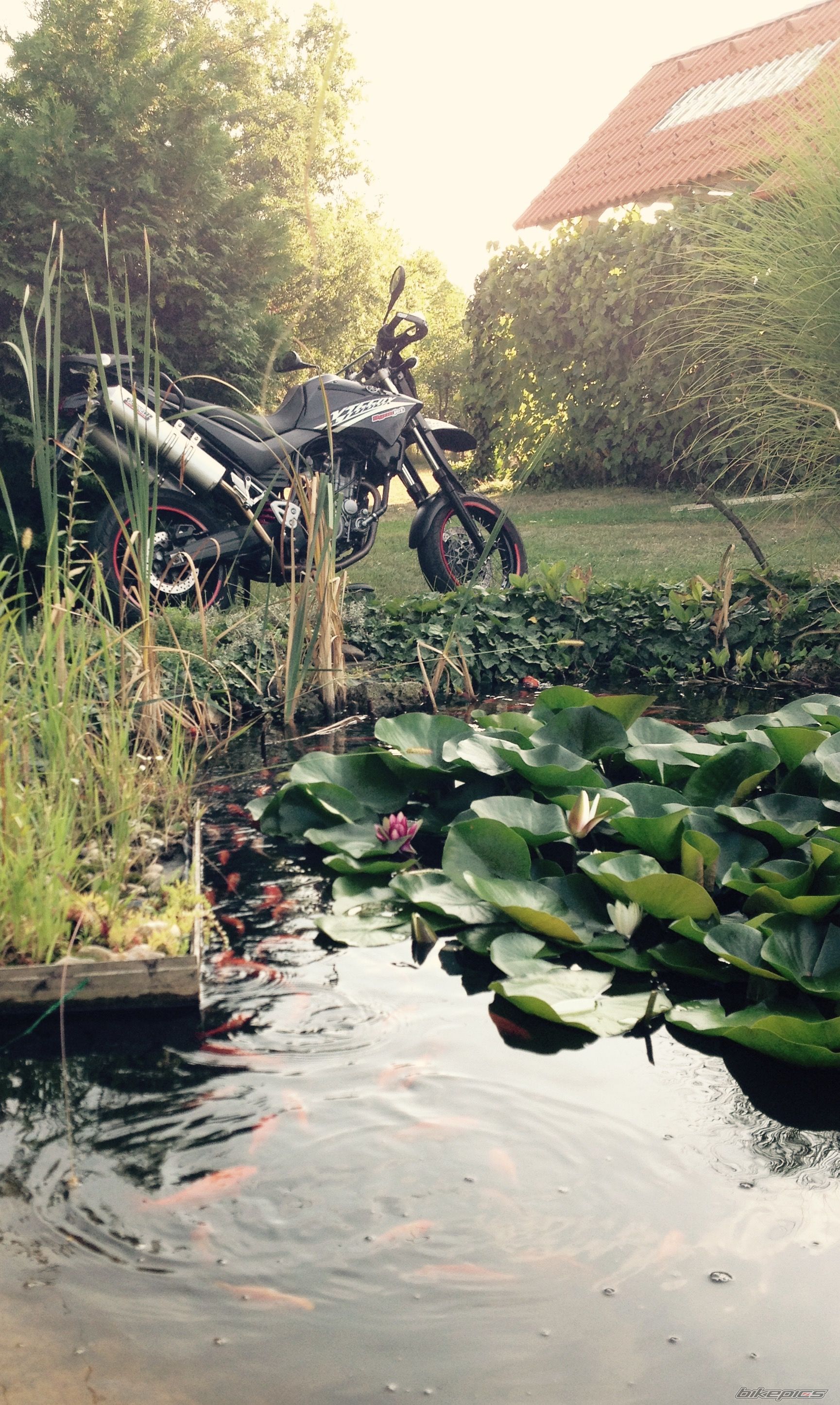 Photo 2755560