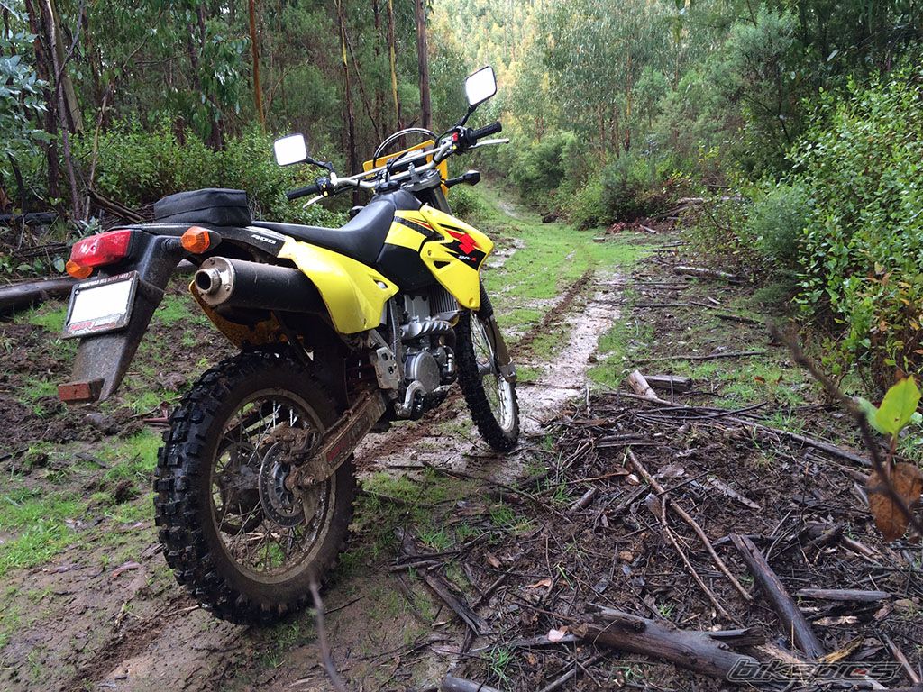 Photo 2755716