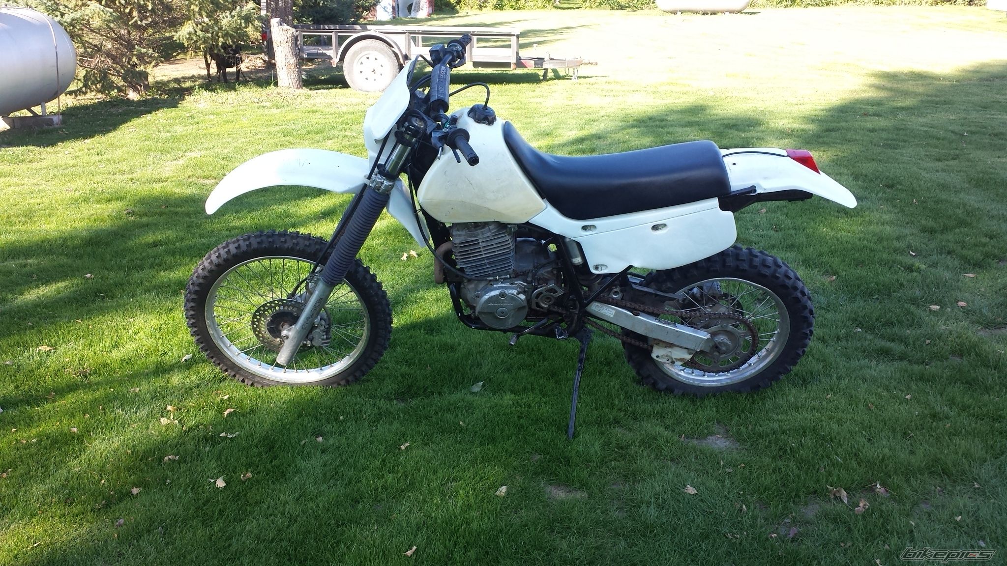 Photo 2755820