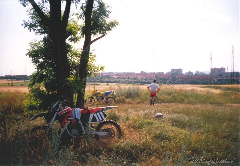 Photo 275585
