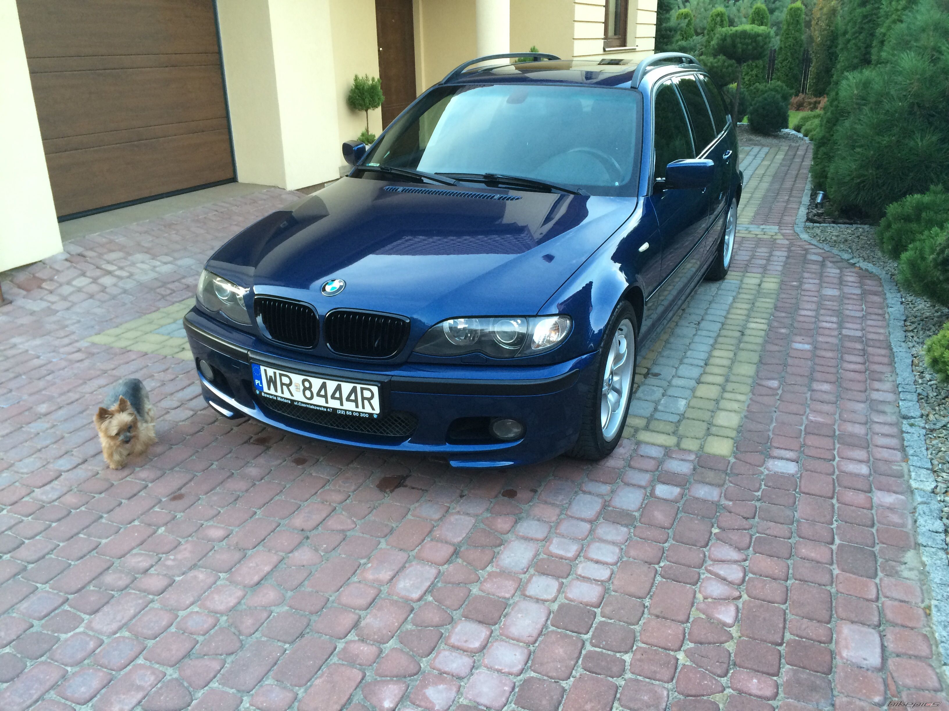 Photo 2755853