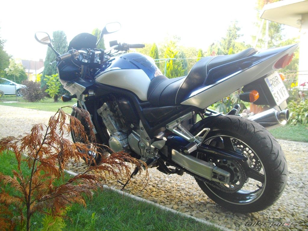 Photo 2756013