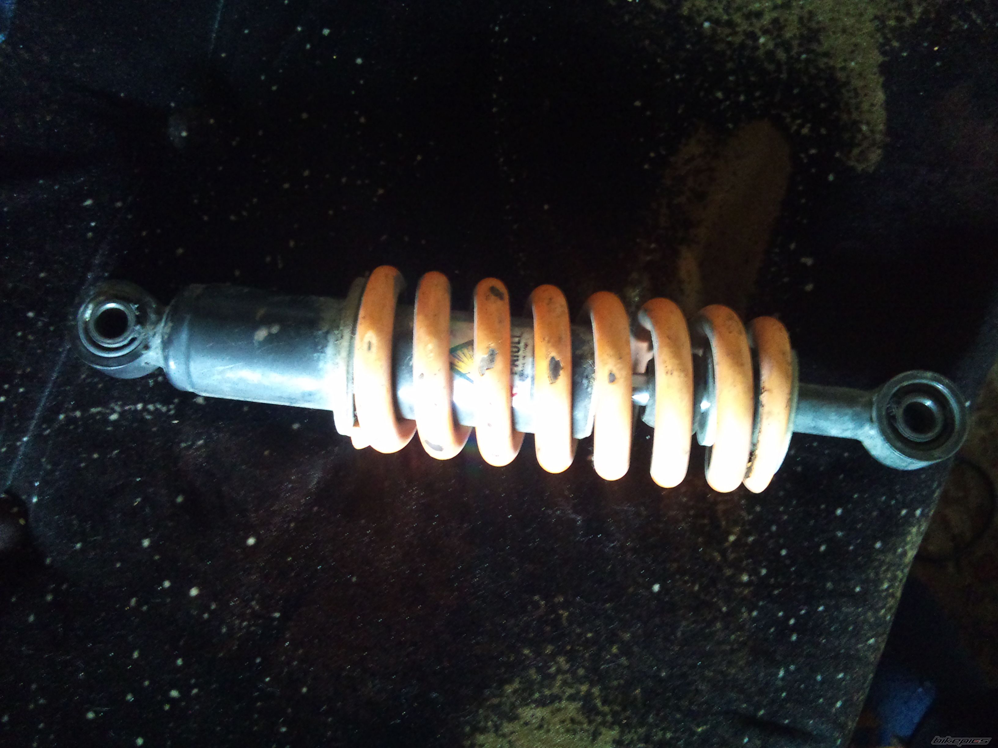 Photo 2756055