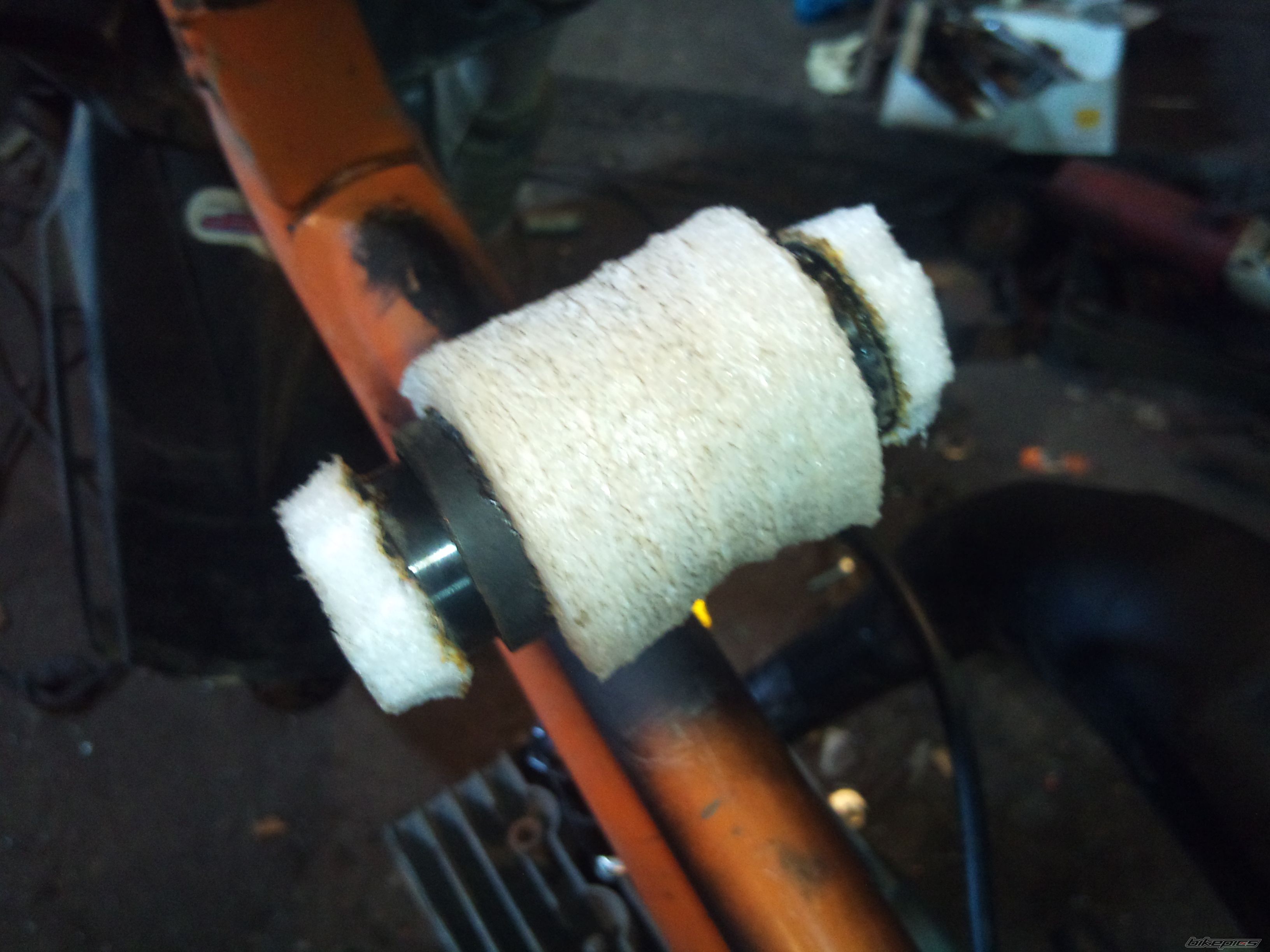 Photo 2756069