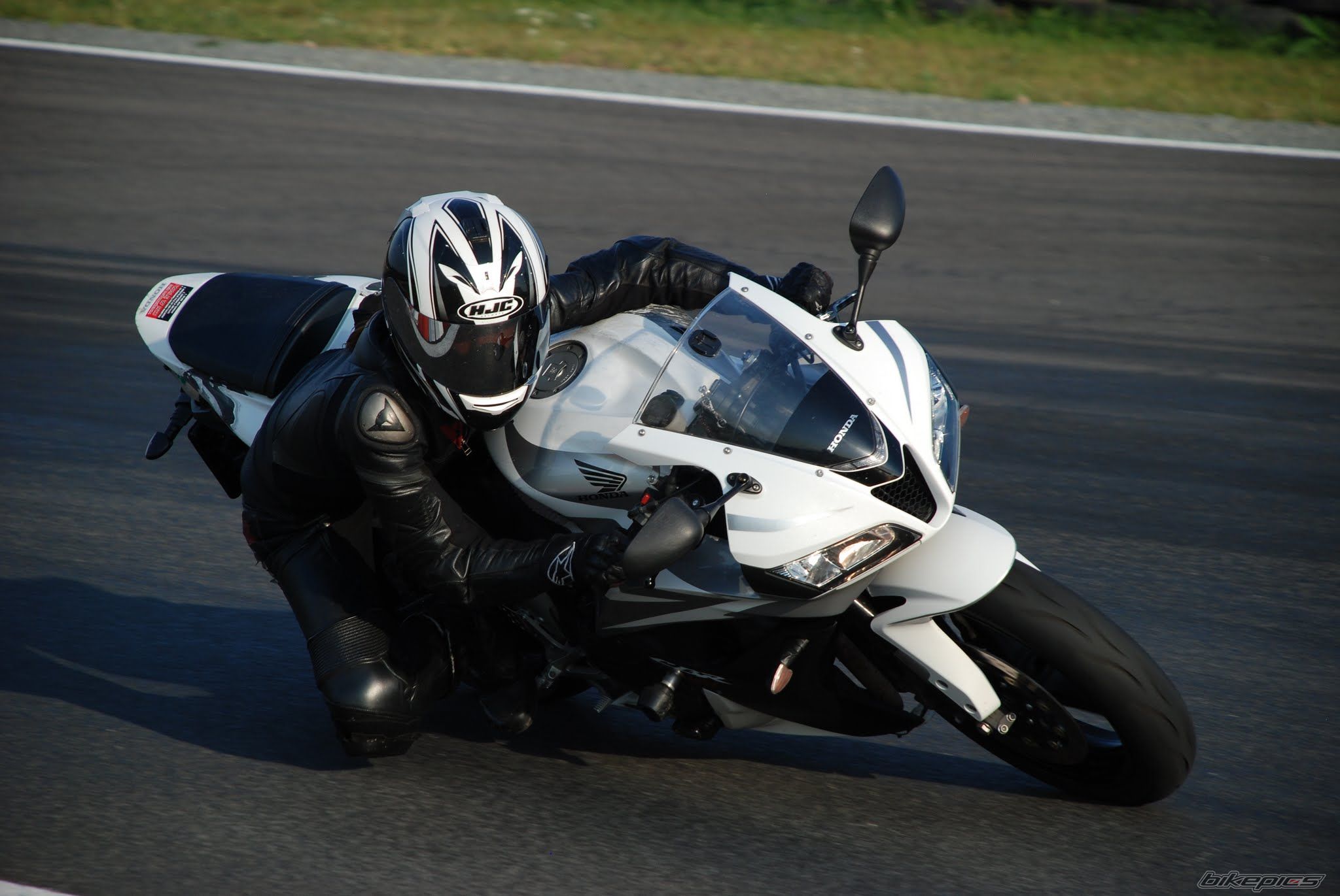 Photo 2756095