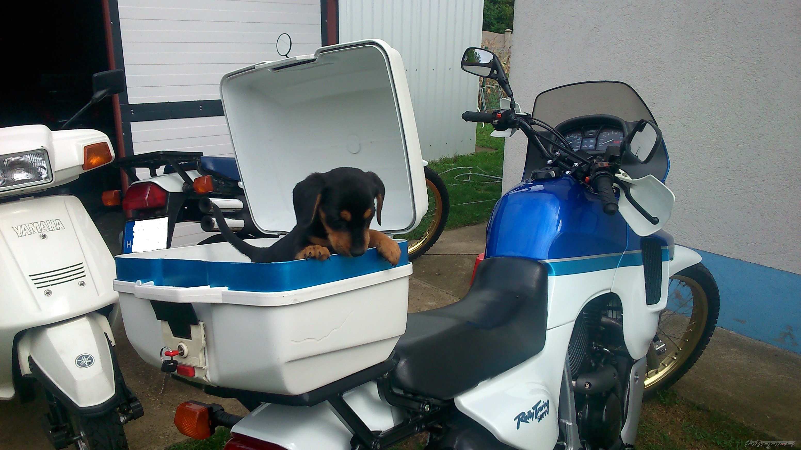 Bike Photo 2756377