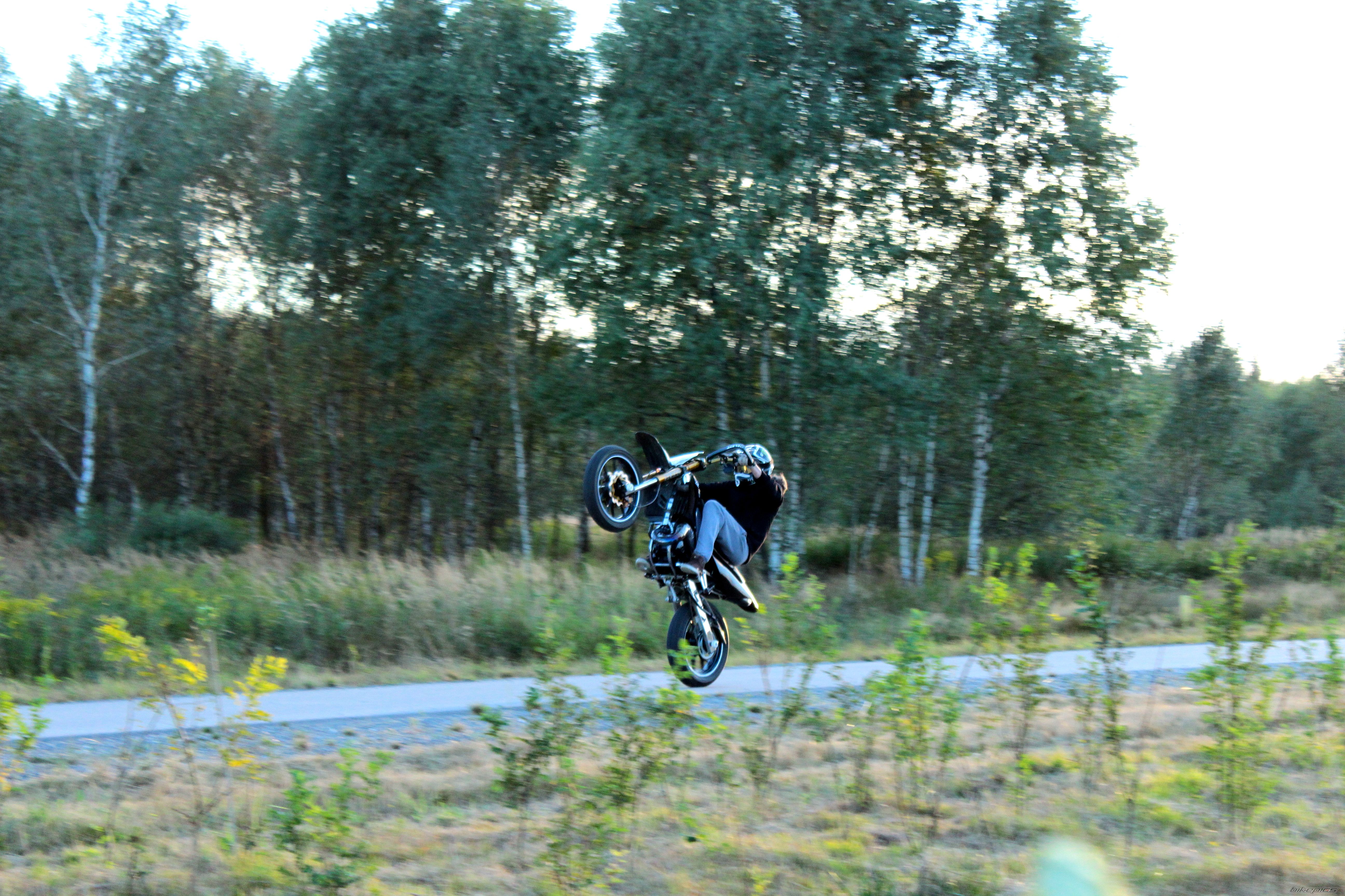 Photo 2756451