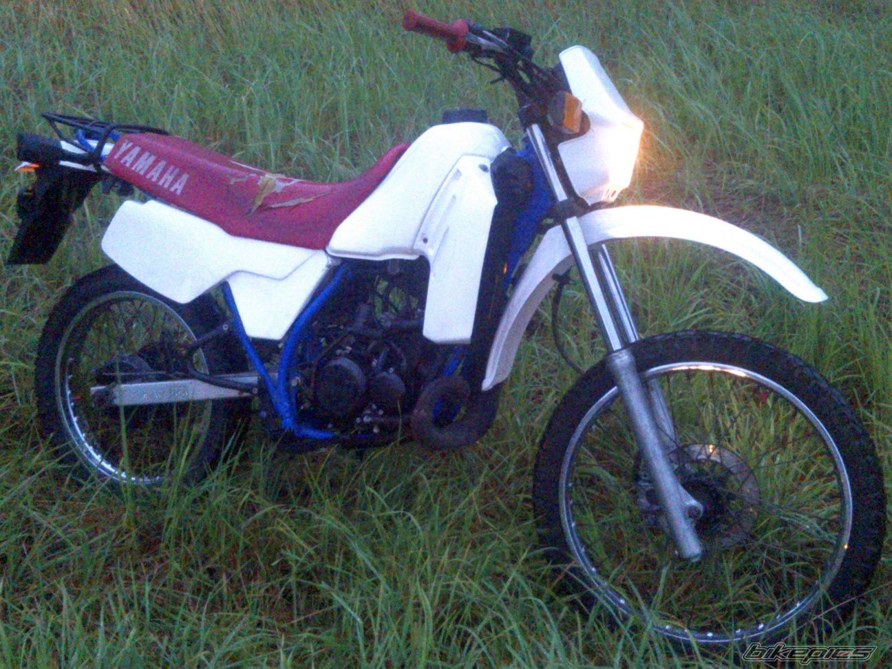 Photo 2756466
